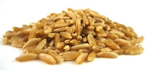 Organic Hard White Wheat Berries Grains Cooking And Baking