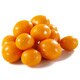 Pastel Creamy Chocolate Apricots