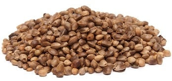 Hemp Seeds