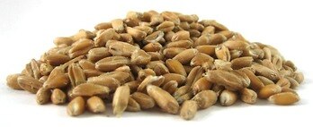 Spelt