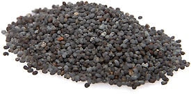Seeds