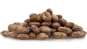 Pinto Beans