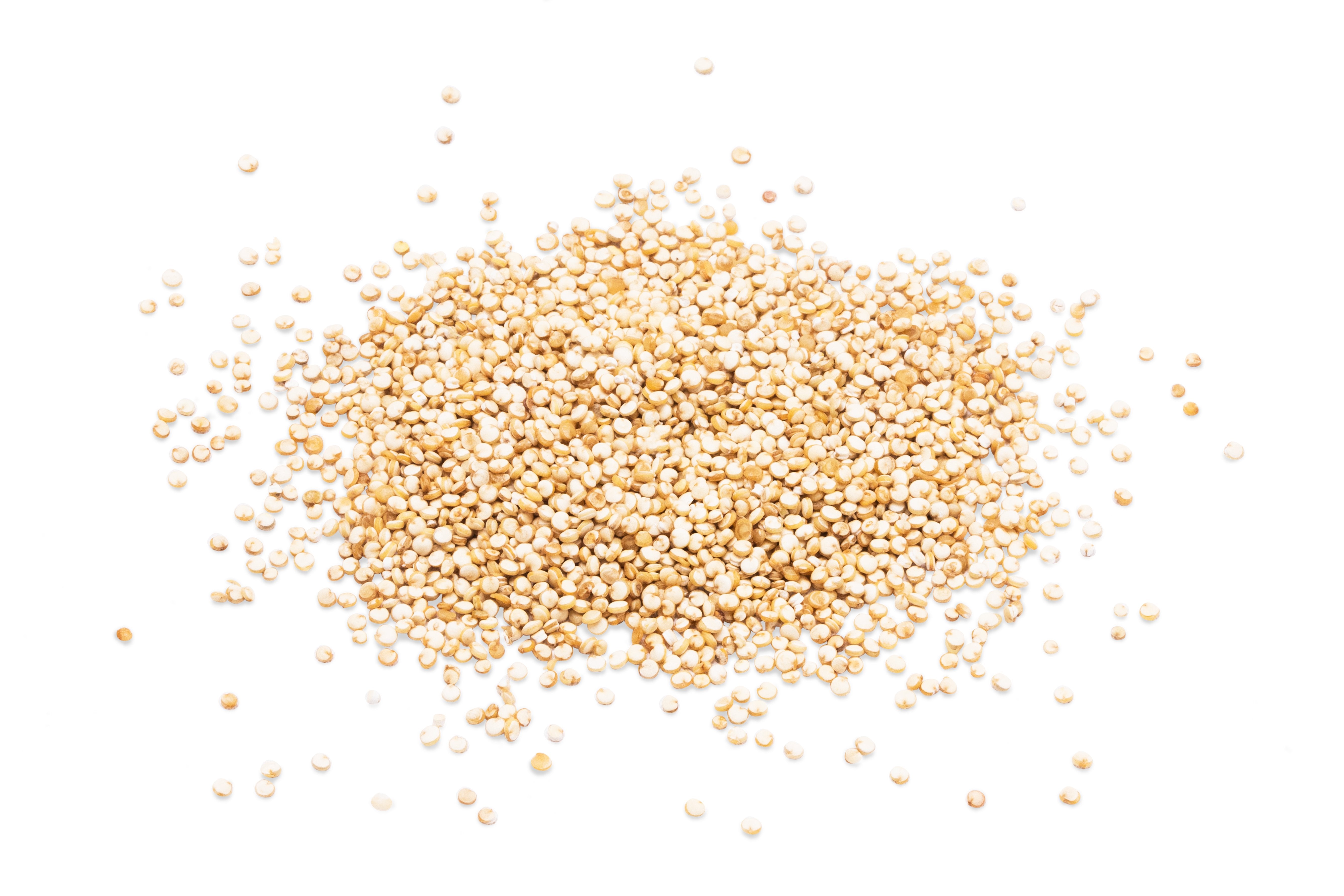 Organic Sprouted Quinoa