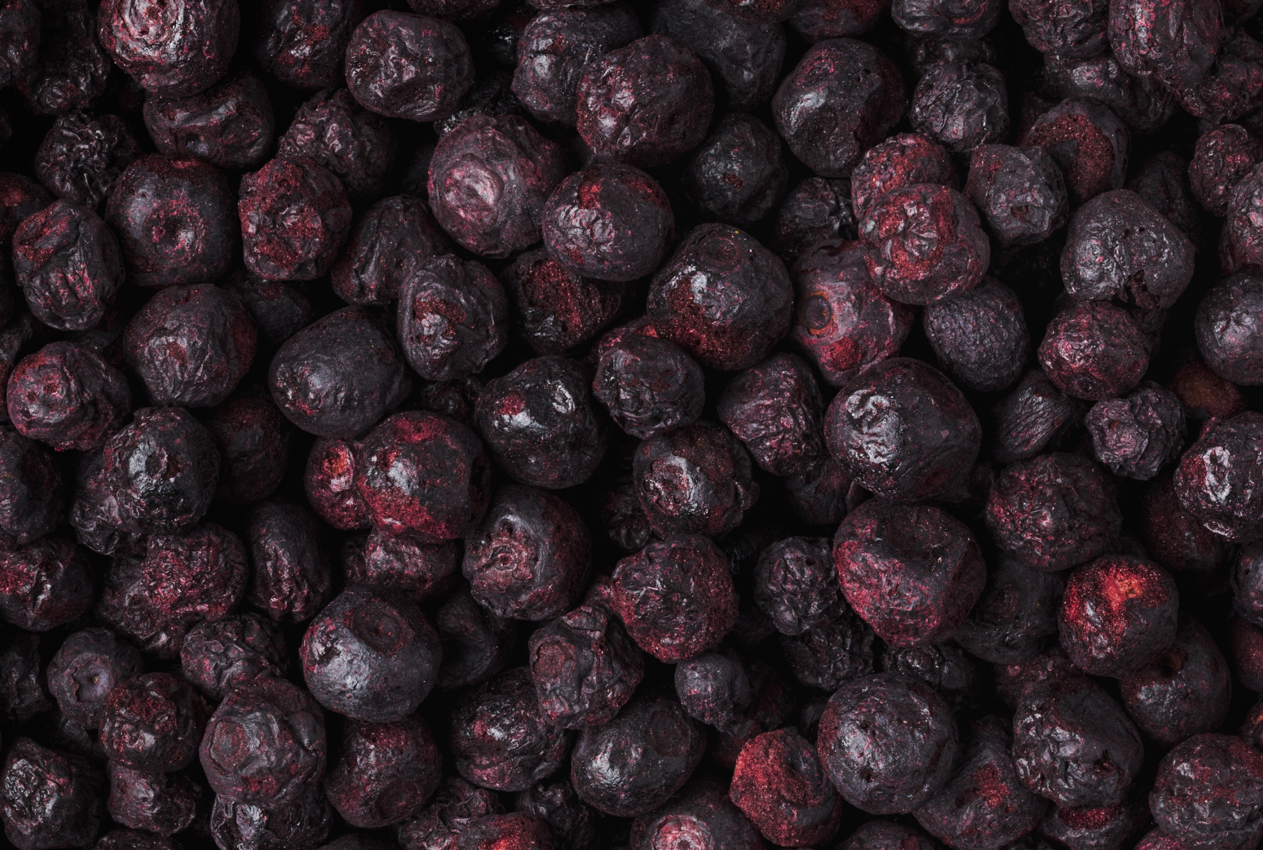 Freeze-Dried Blueberries