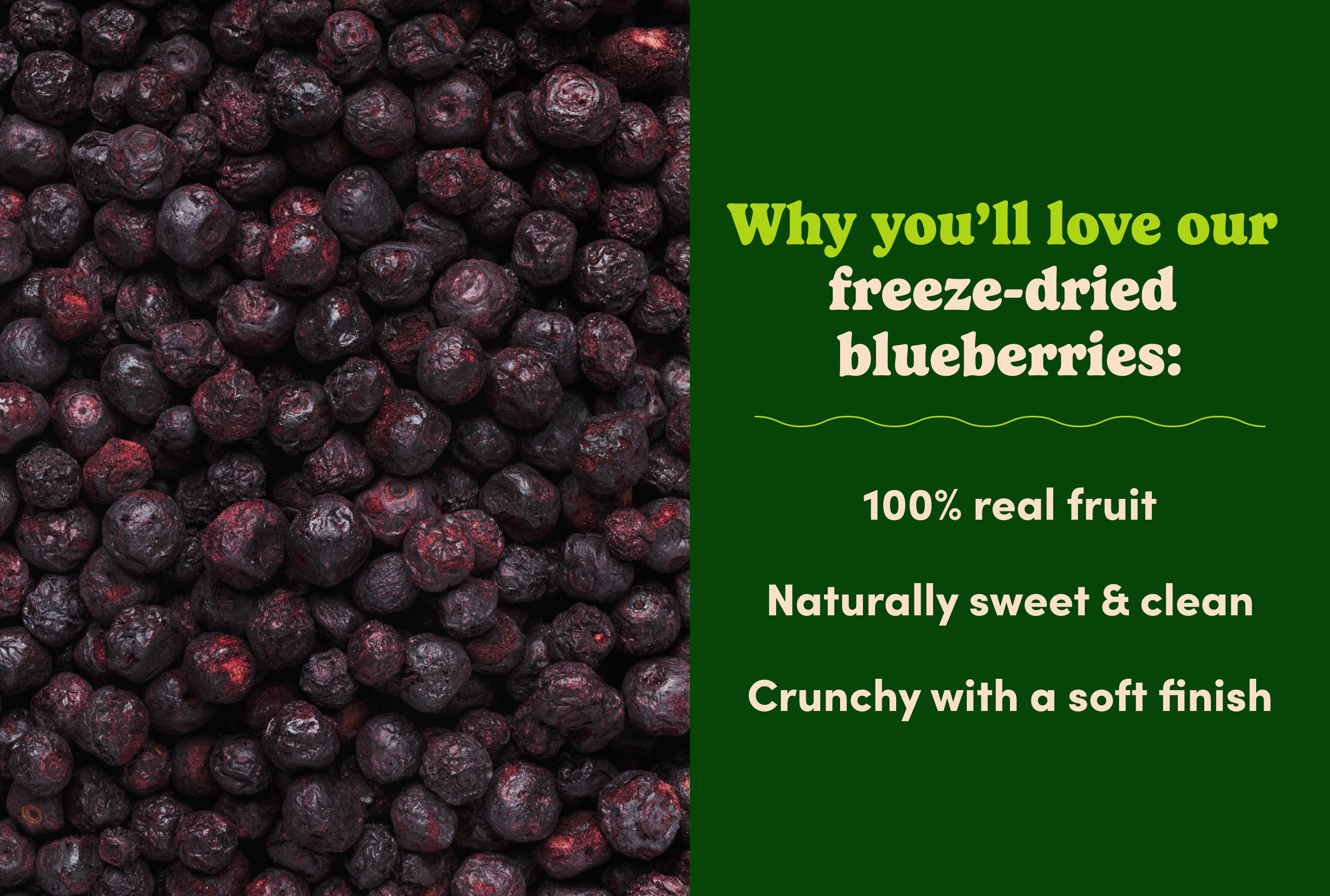 Freeze-Dried Blueberries