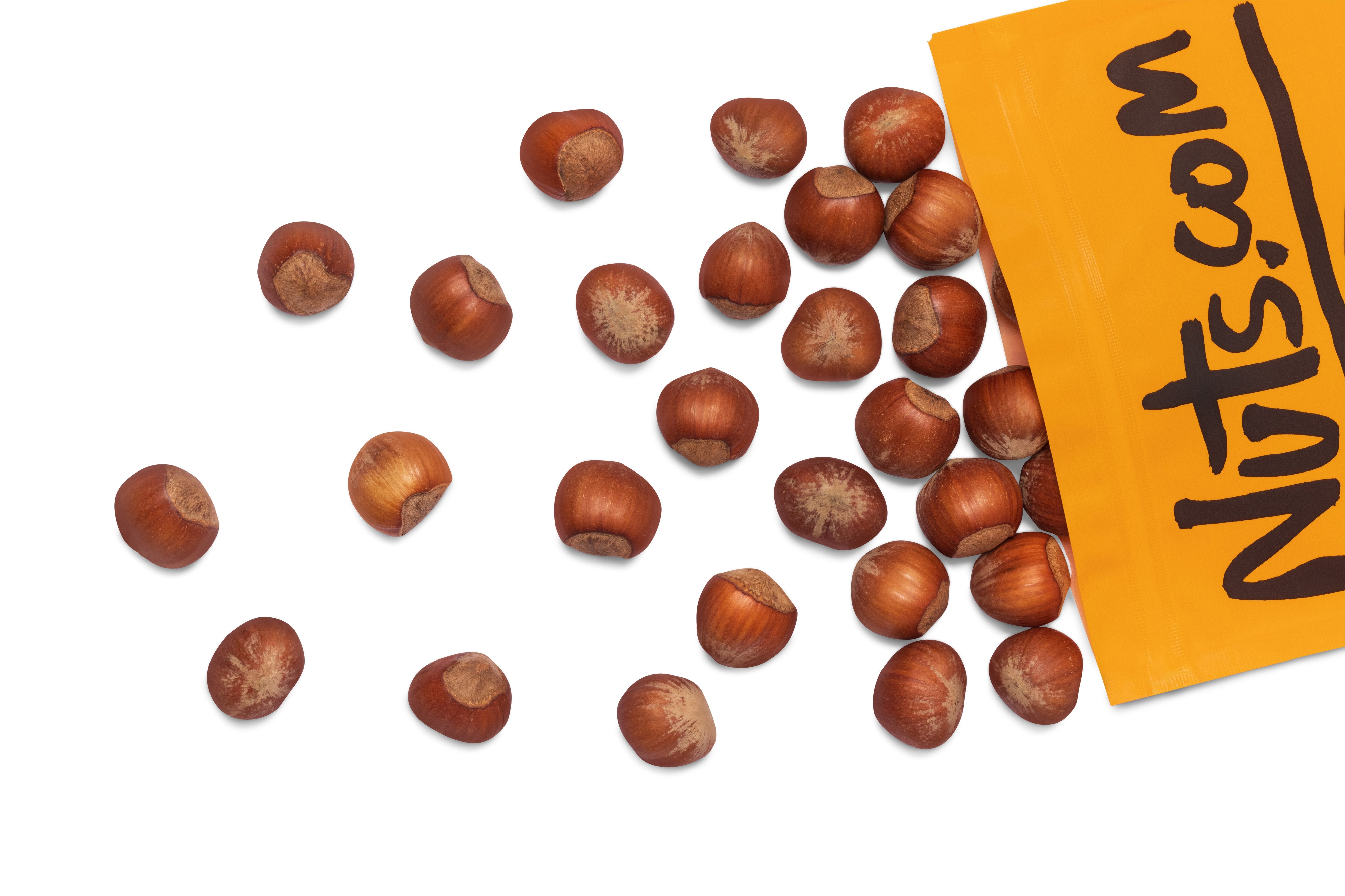 Hazelnuts / Filberts (In Shell)