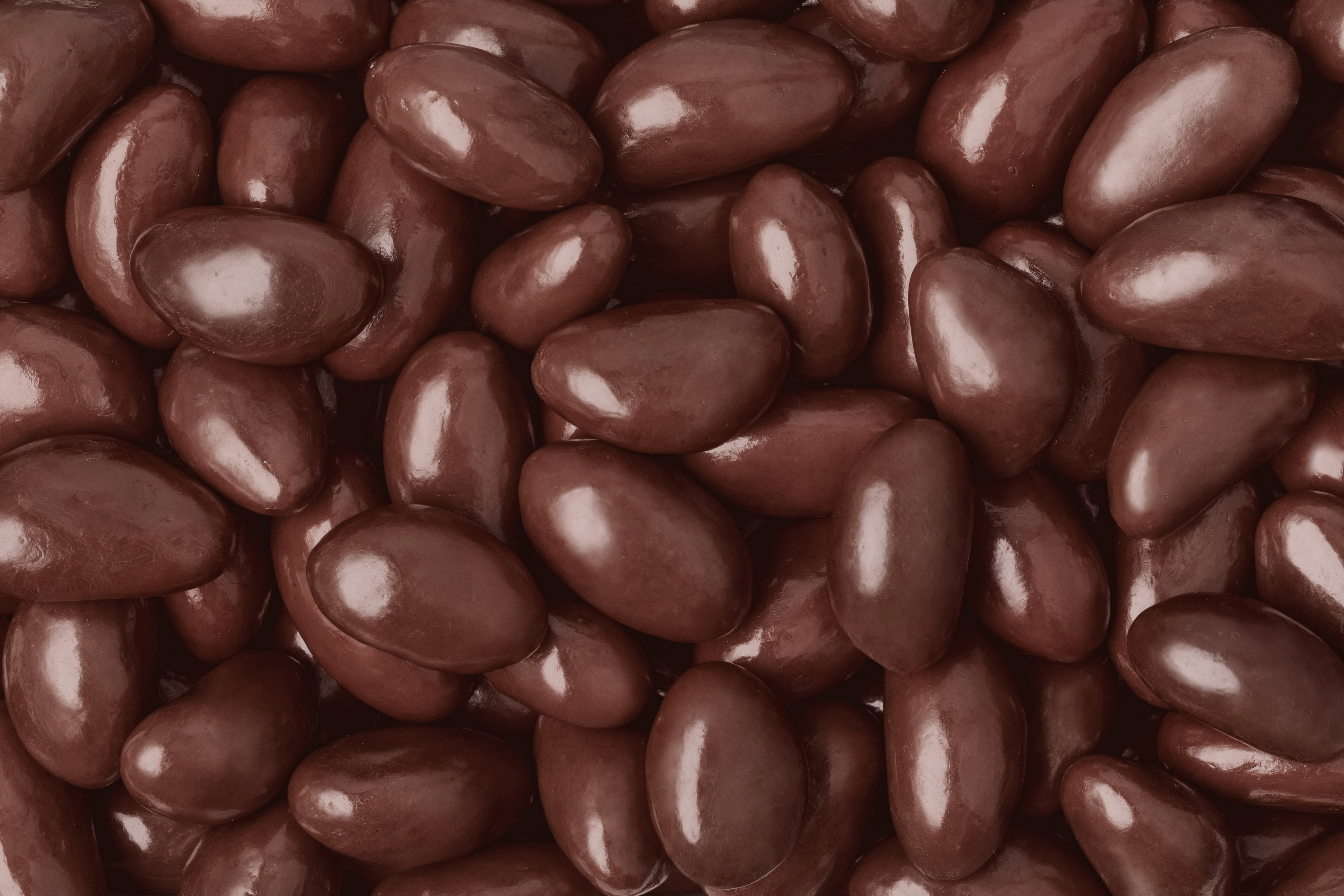 Organic Dark Chocolate Brazil Nuts