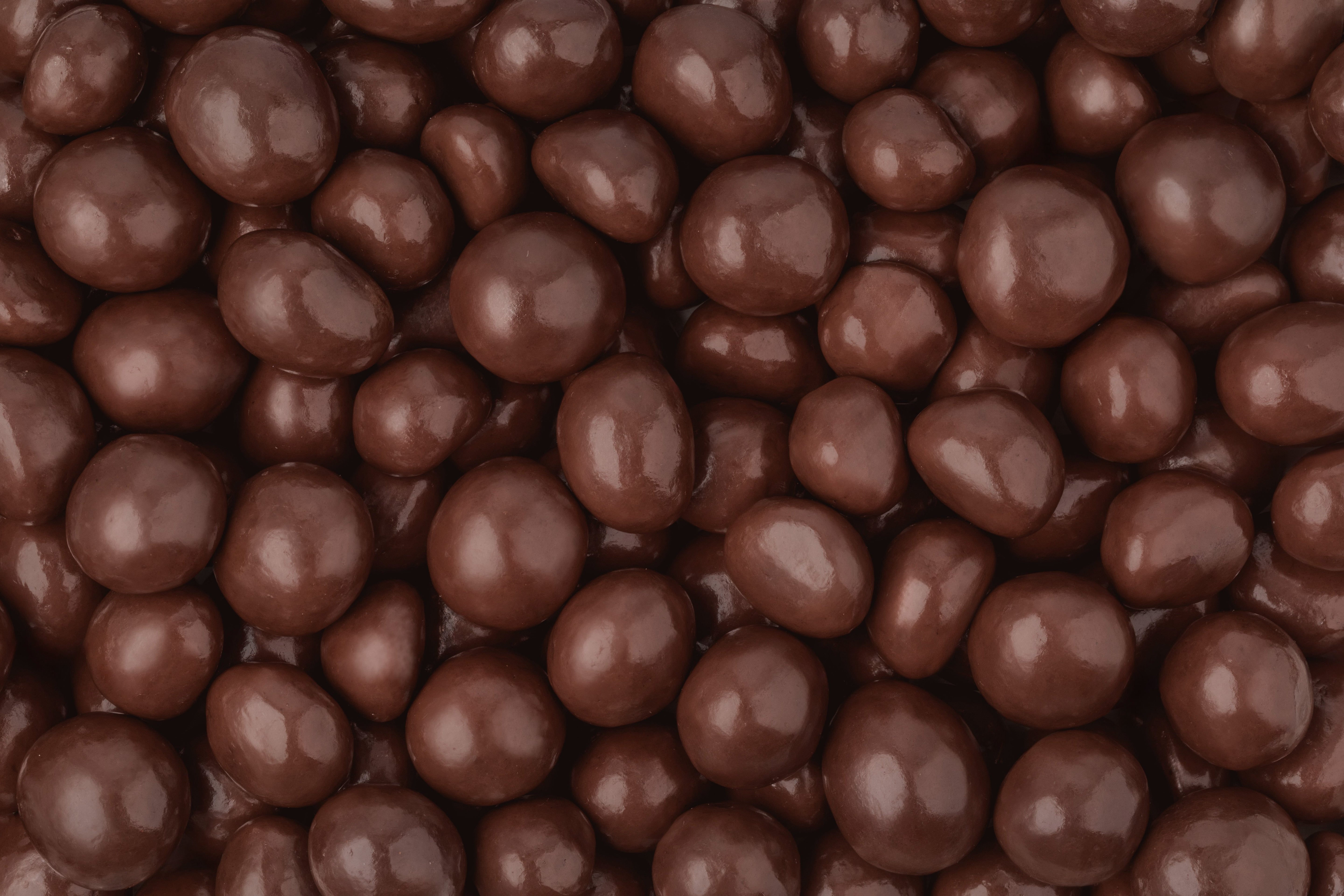 Organic Dark Chocolate Macadamia Nuts