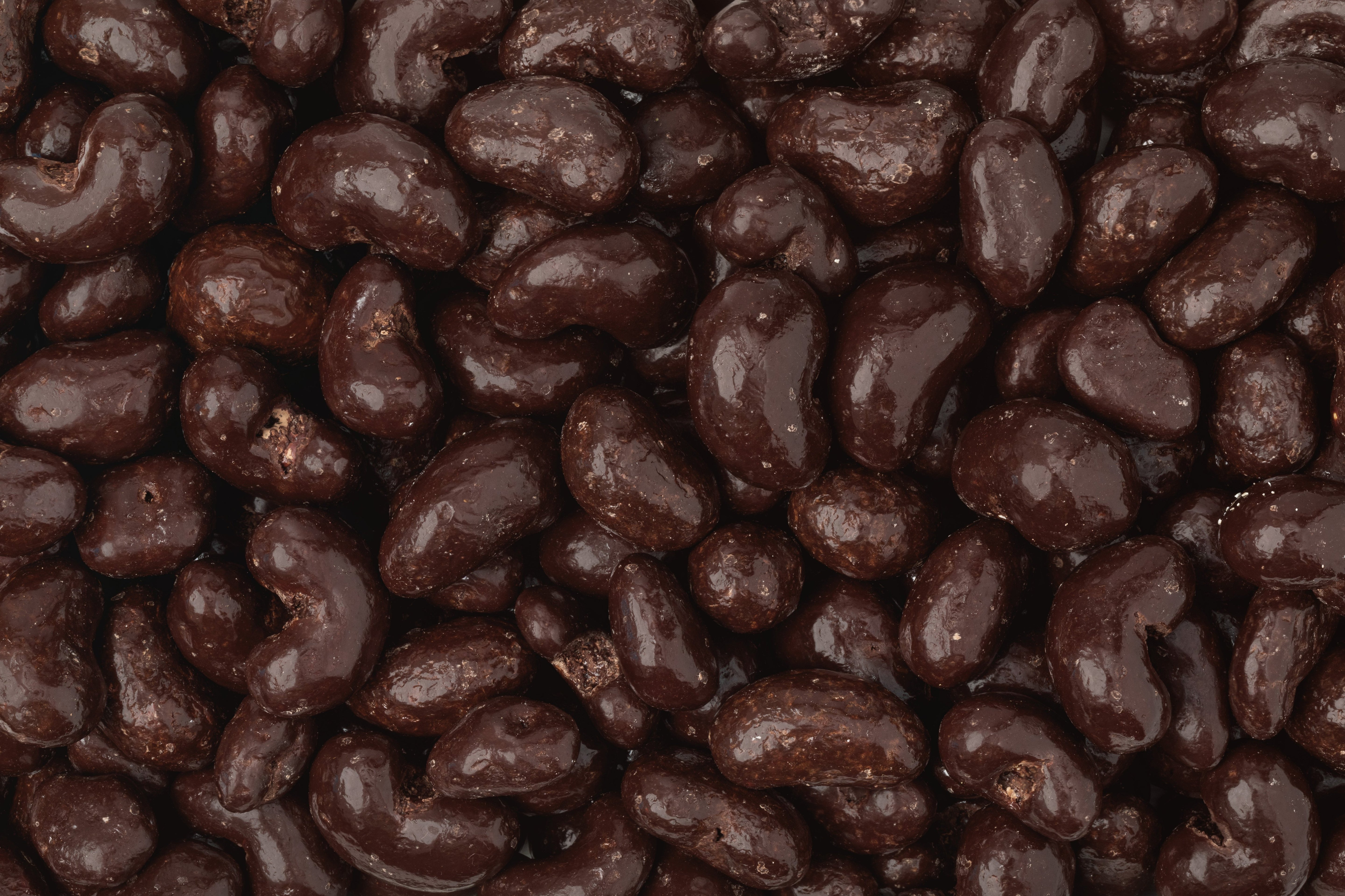 Organic Dark Chocolate Sea Salt Cashews