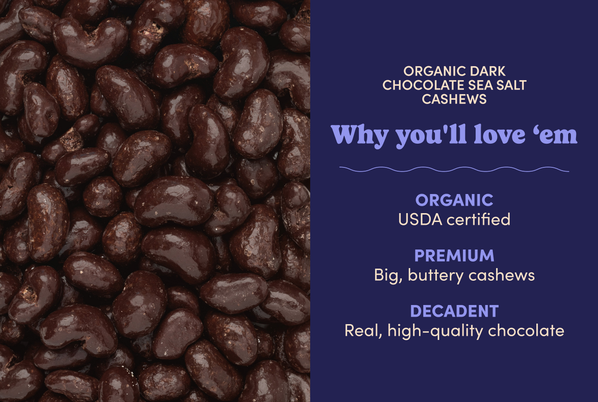 Organic Dark Chocolate Sea Salt Cashews