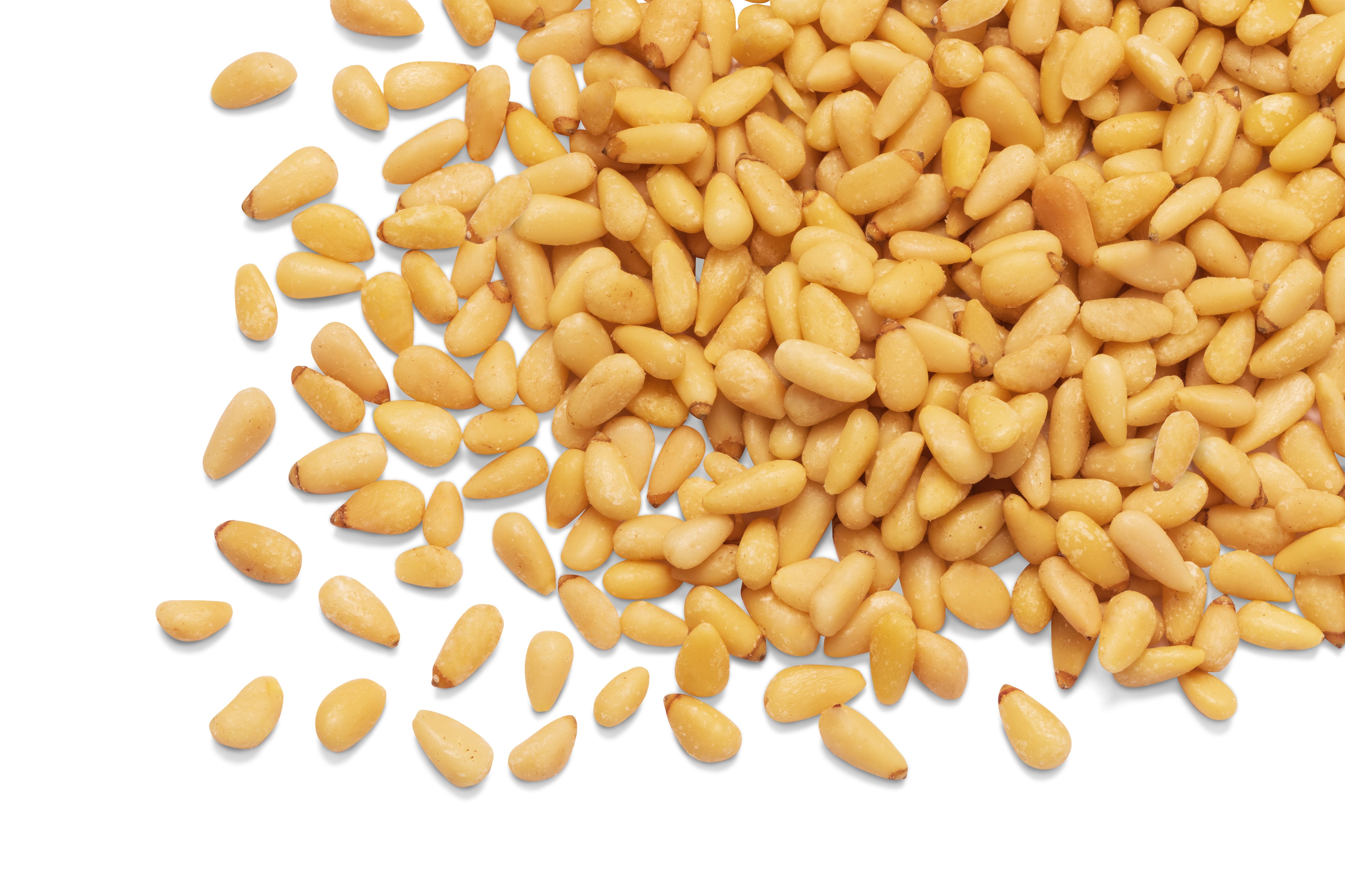 Pine Nuts (Pignolias)