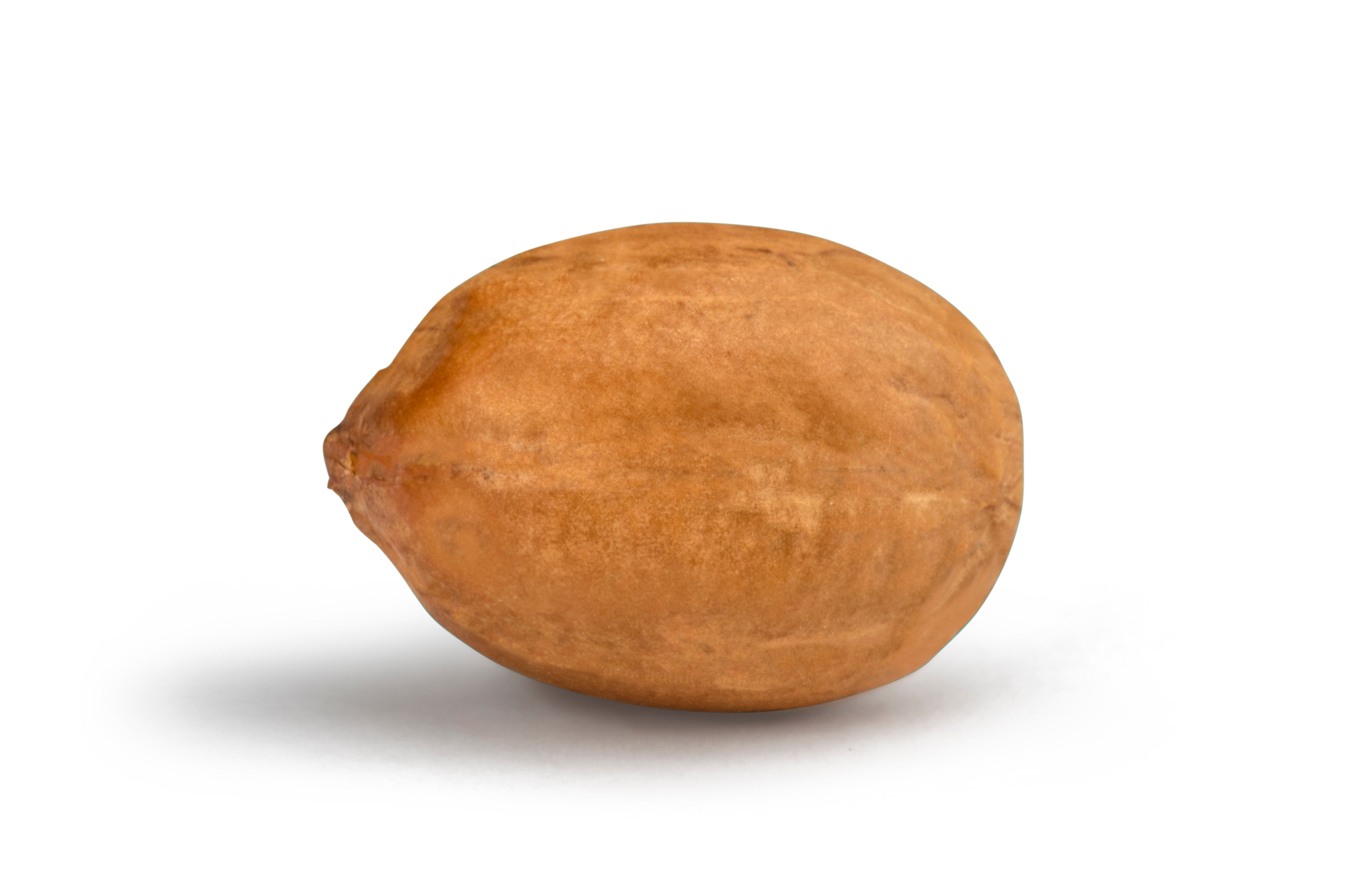 Raw Spanish Peanuts