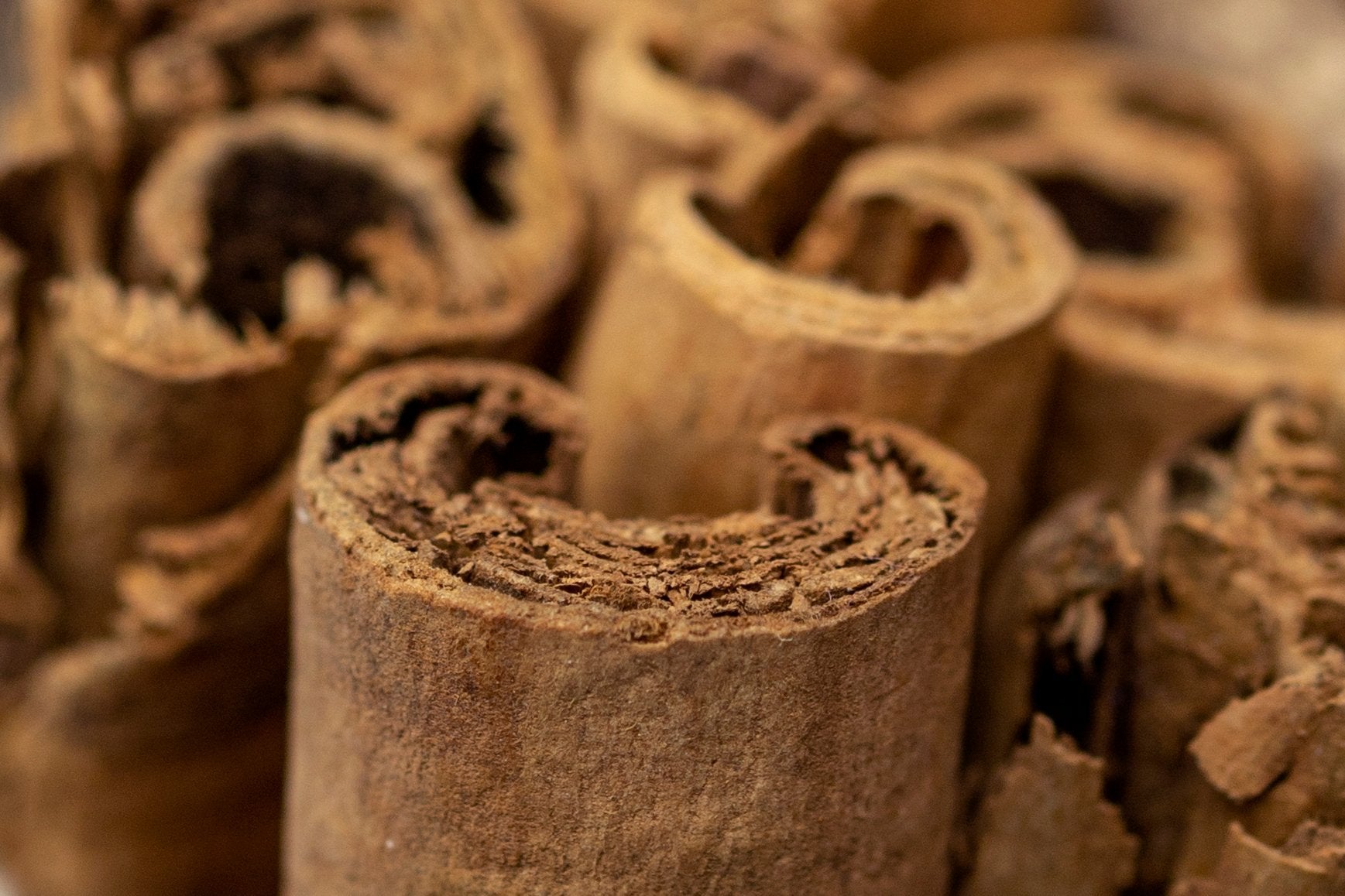 Ceylon Cinnamon Sticks