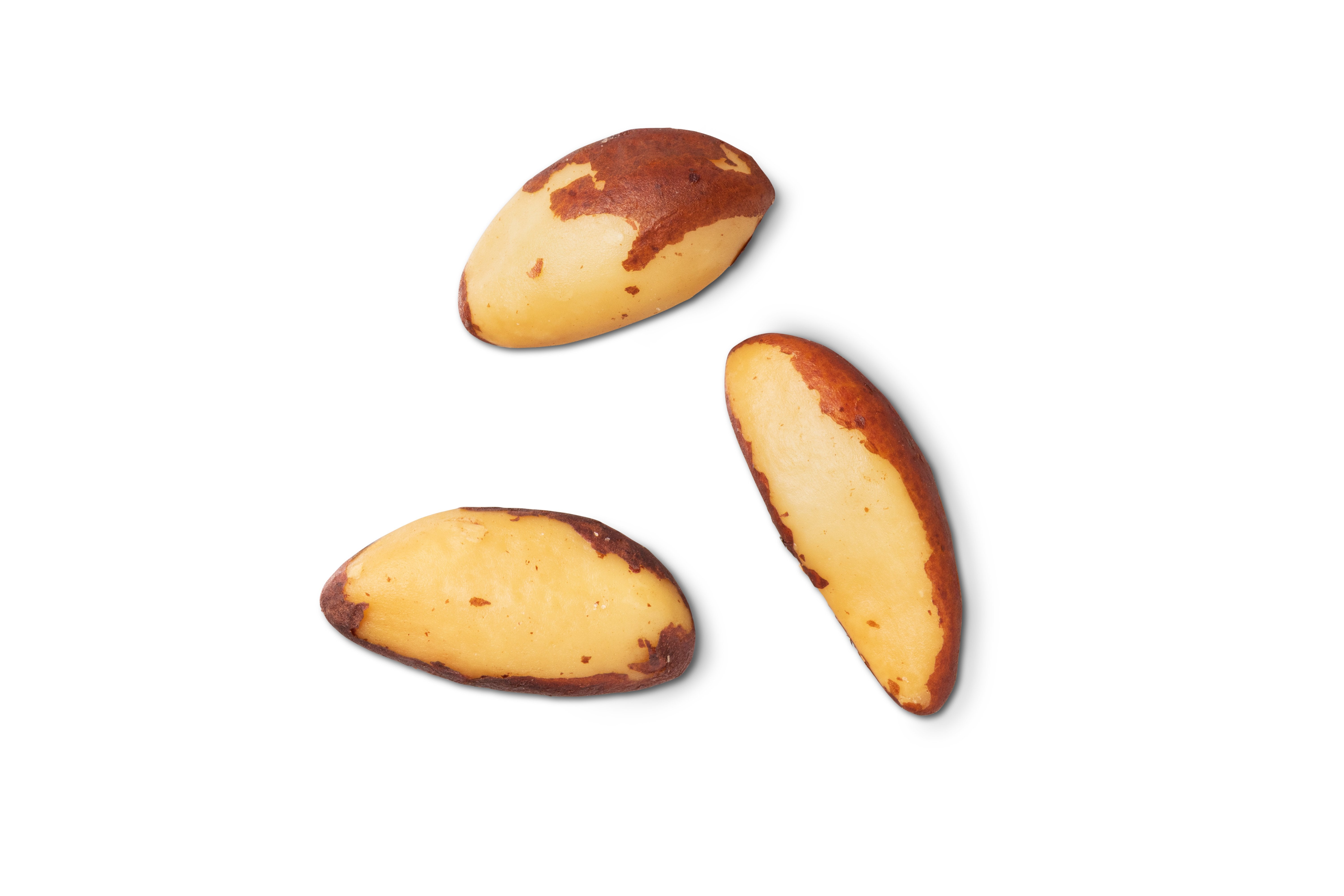 Roasted Brazil Nuts (Unsalted) | Fresh & High-Quality | Nuts.com