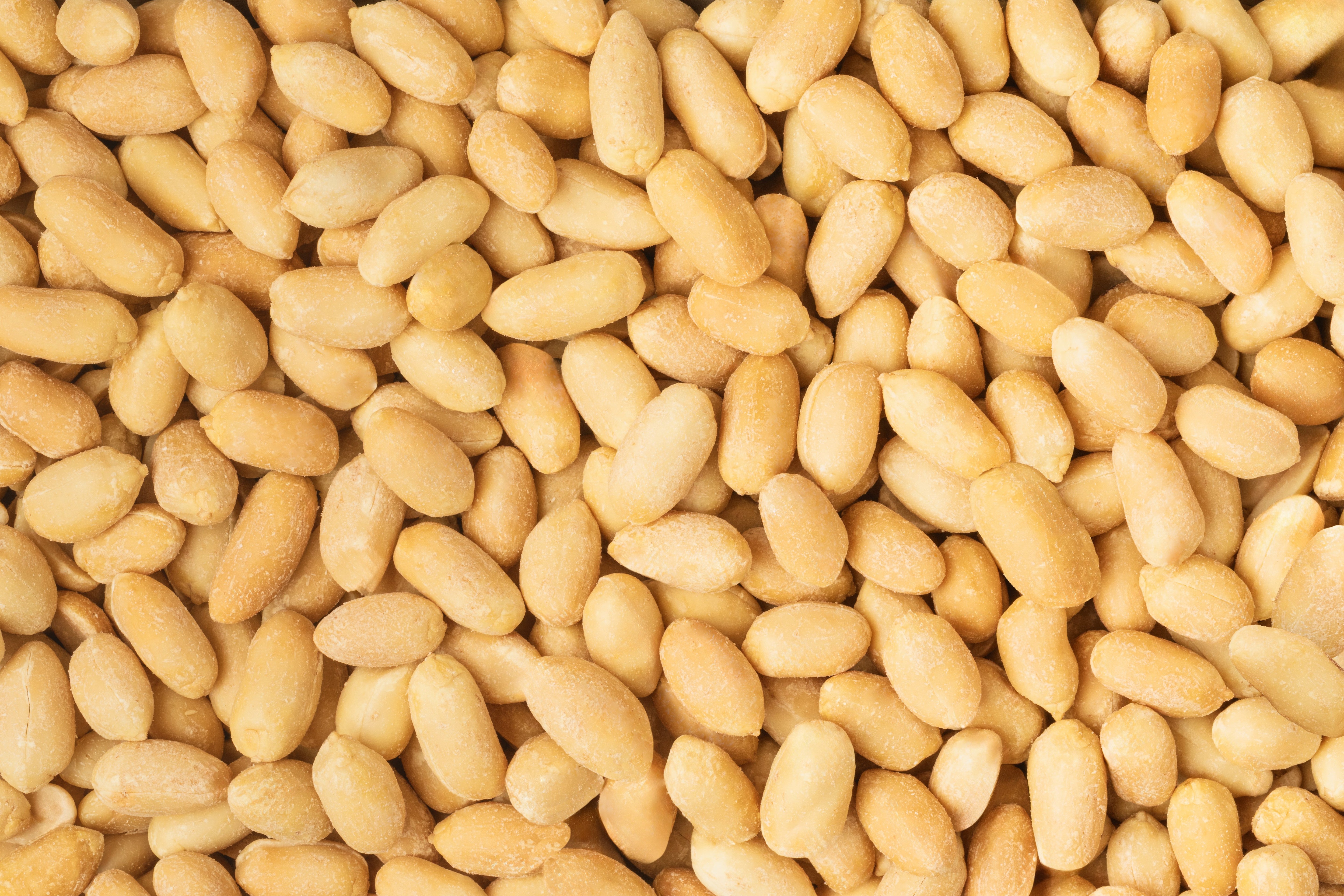 Roasted Super Jumbo Virginia Peanuts (Unsalted, No Shell)
