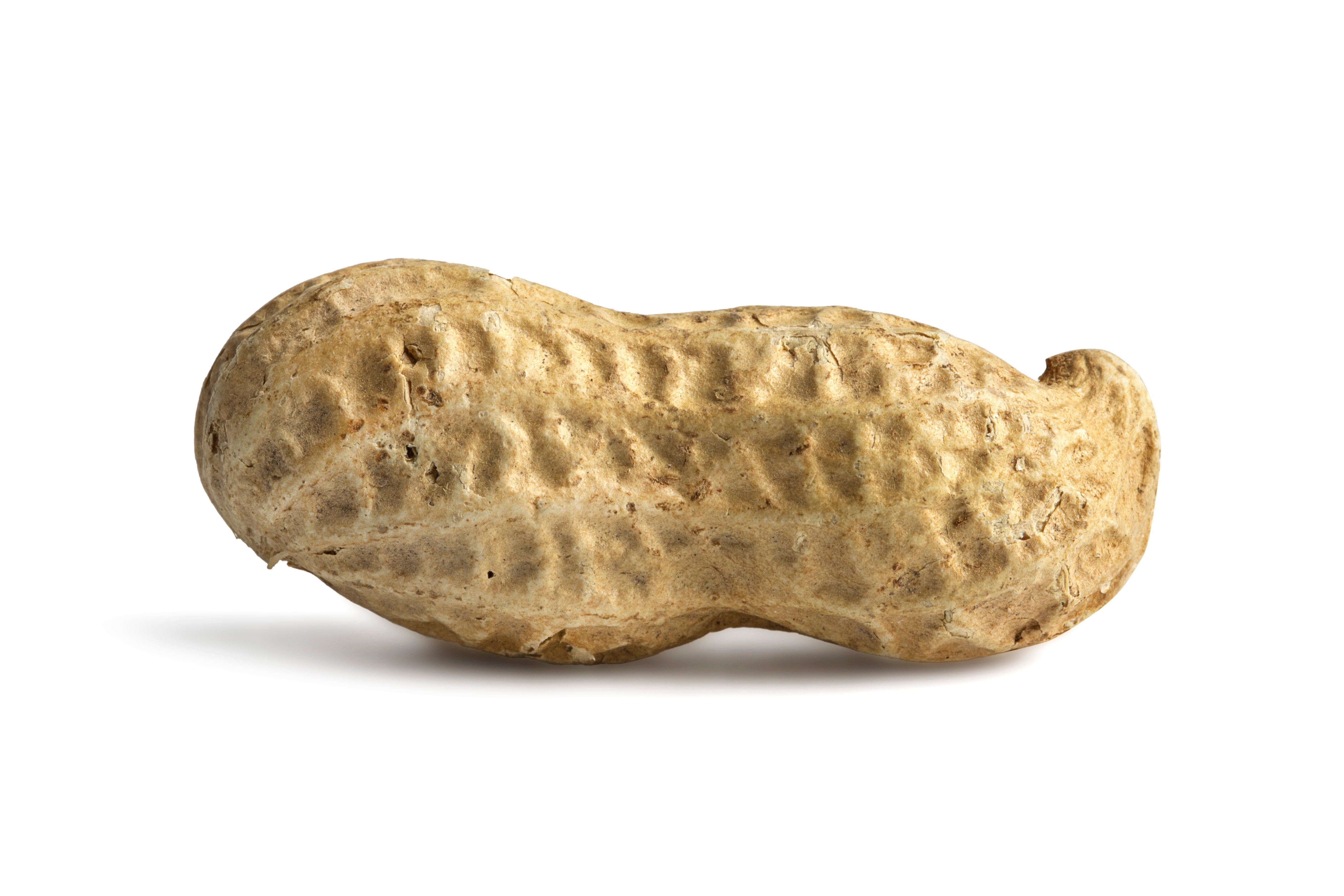 Cajun Roasted Peanuts (Salted, in Shell)