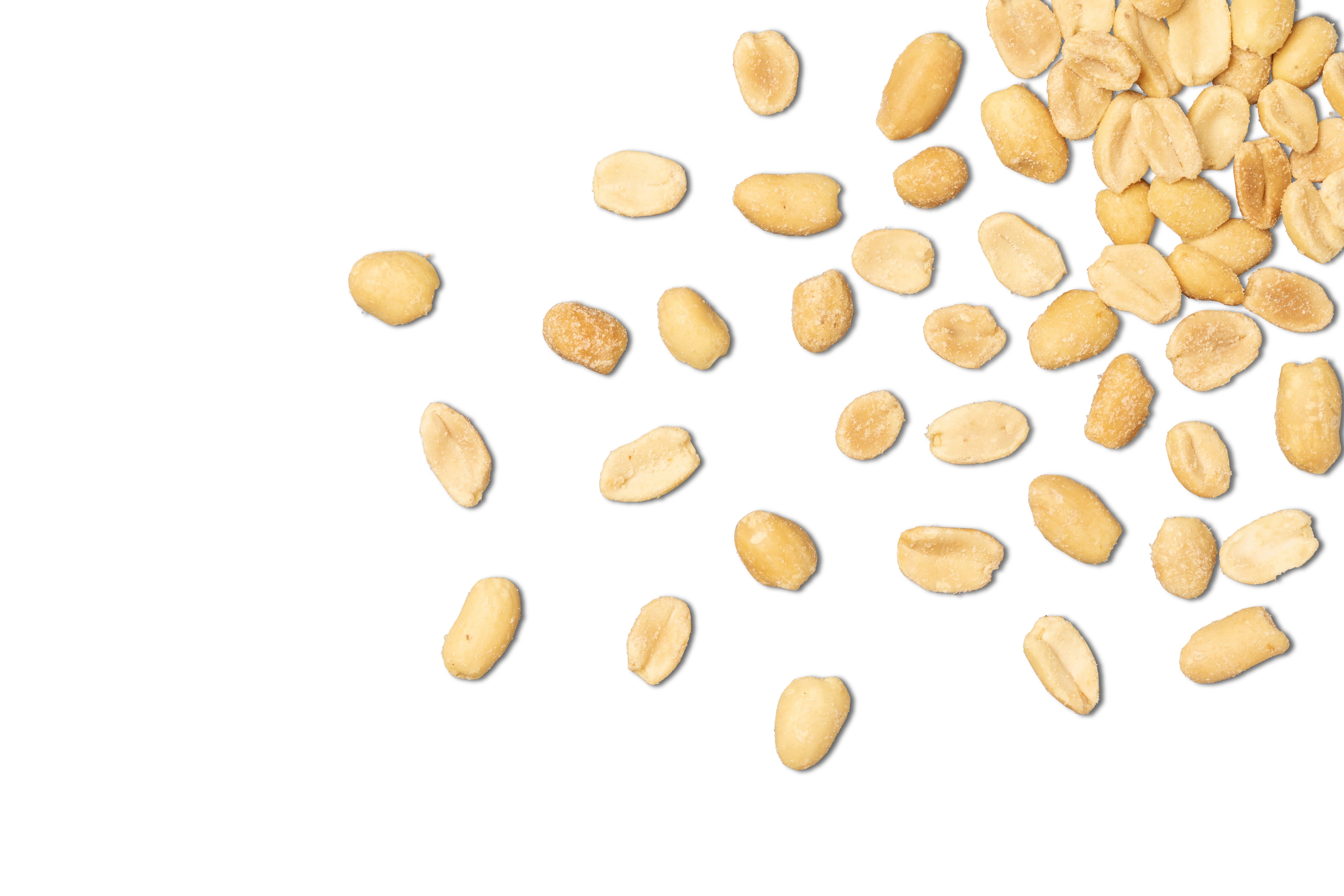 Organic Dry Roasted Peanuts (Salted, No Shell)