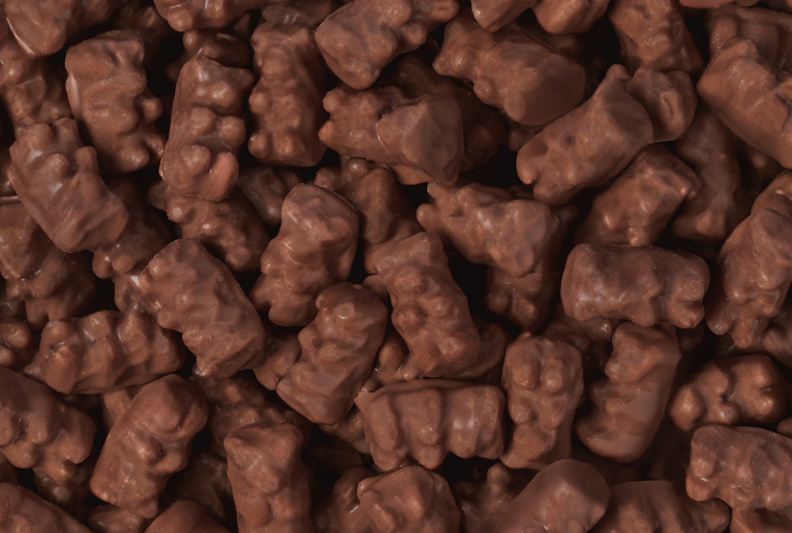 Milk Chocolate Gummy Bears
