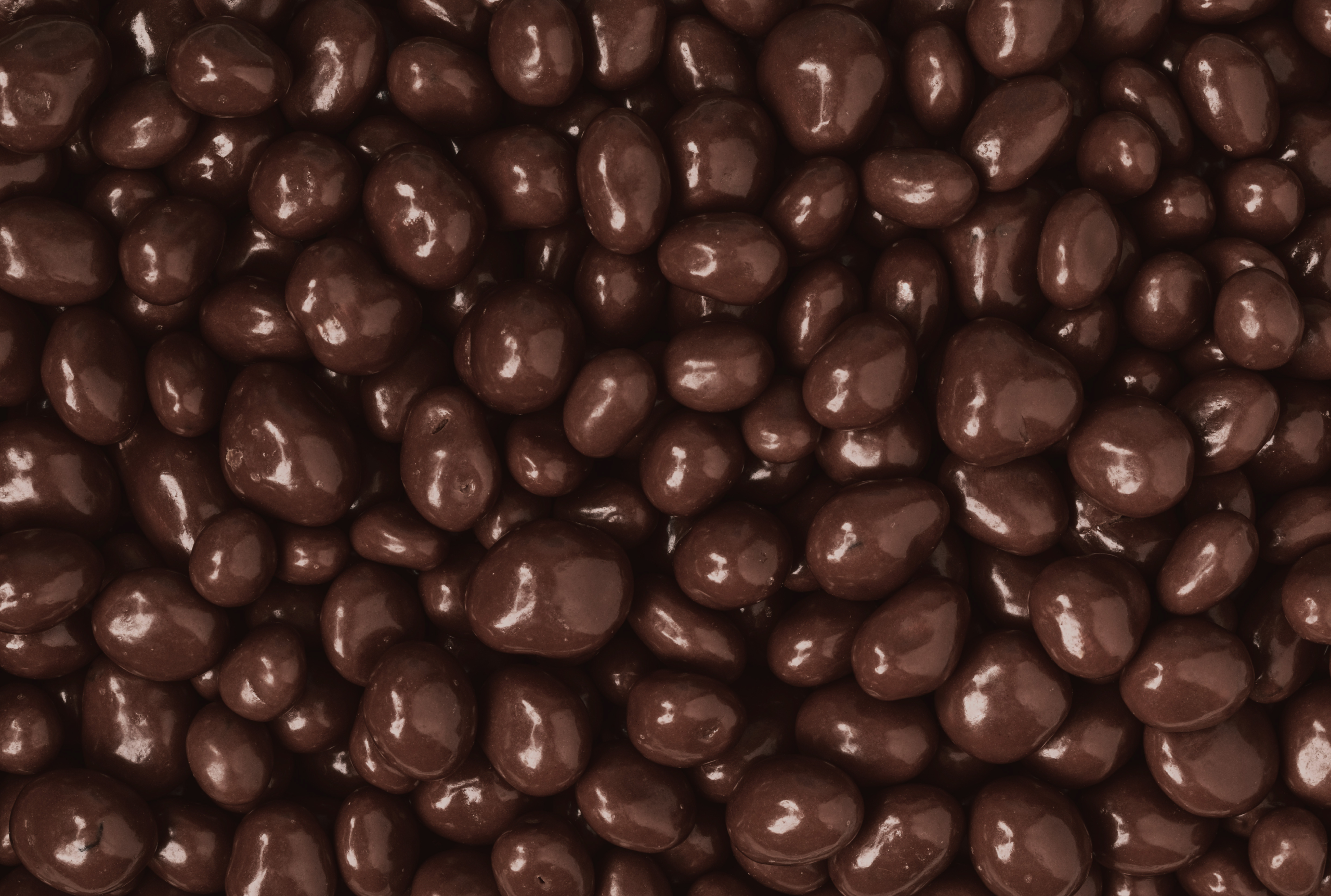 Dark Chocolate-Covered Raisins
