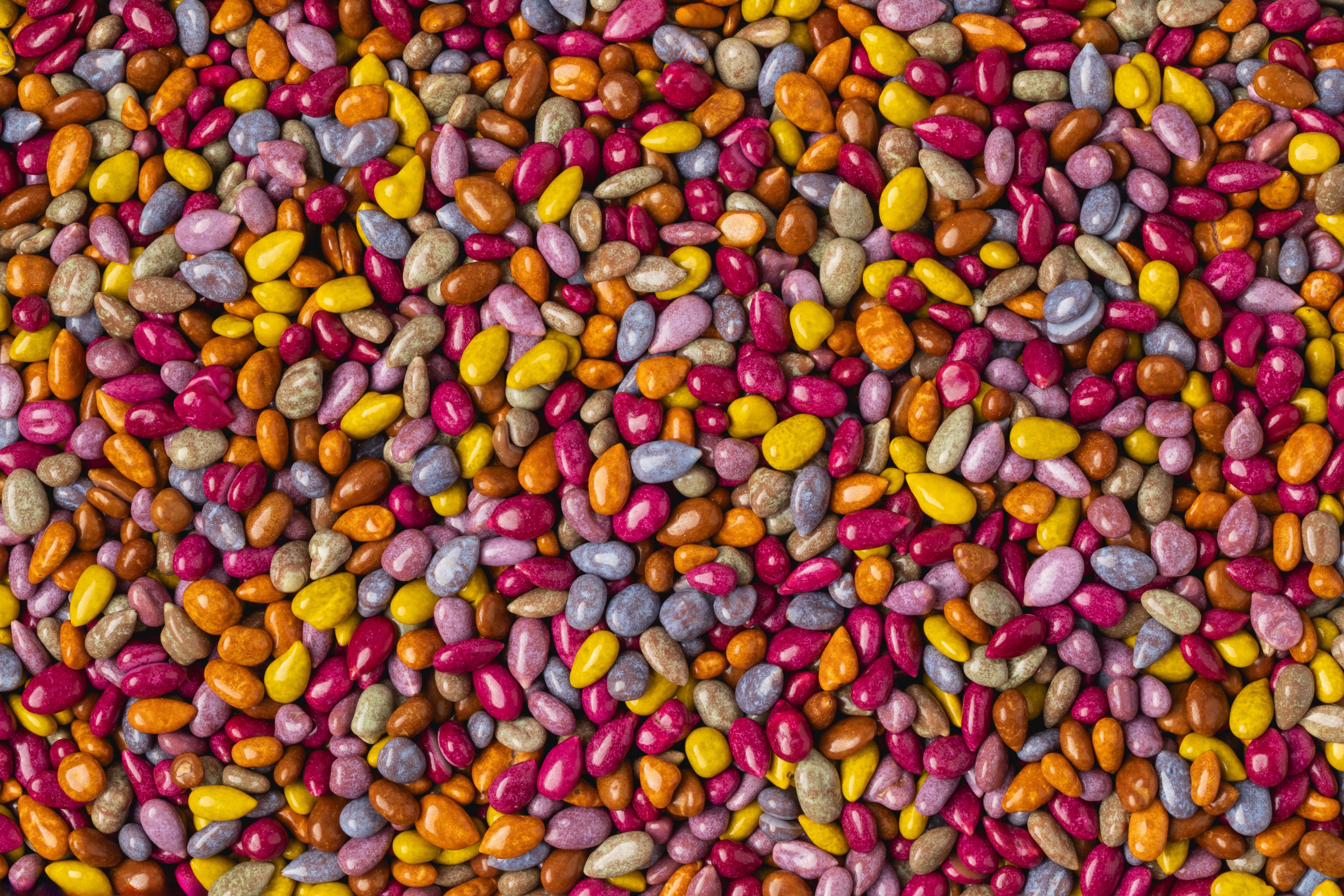 Chocolate Covered Sunflower Seeds (All Natural)