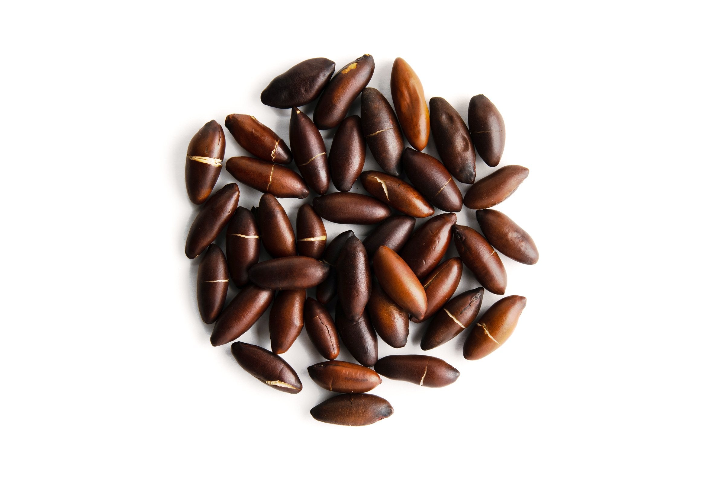 Roasted Baru Nuts (Unsalted)
