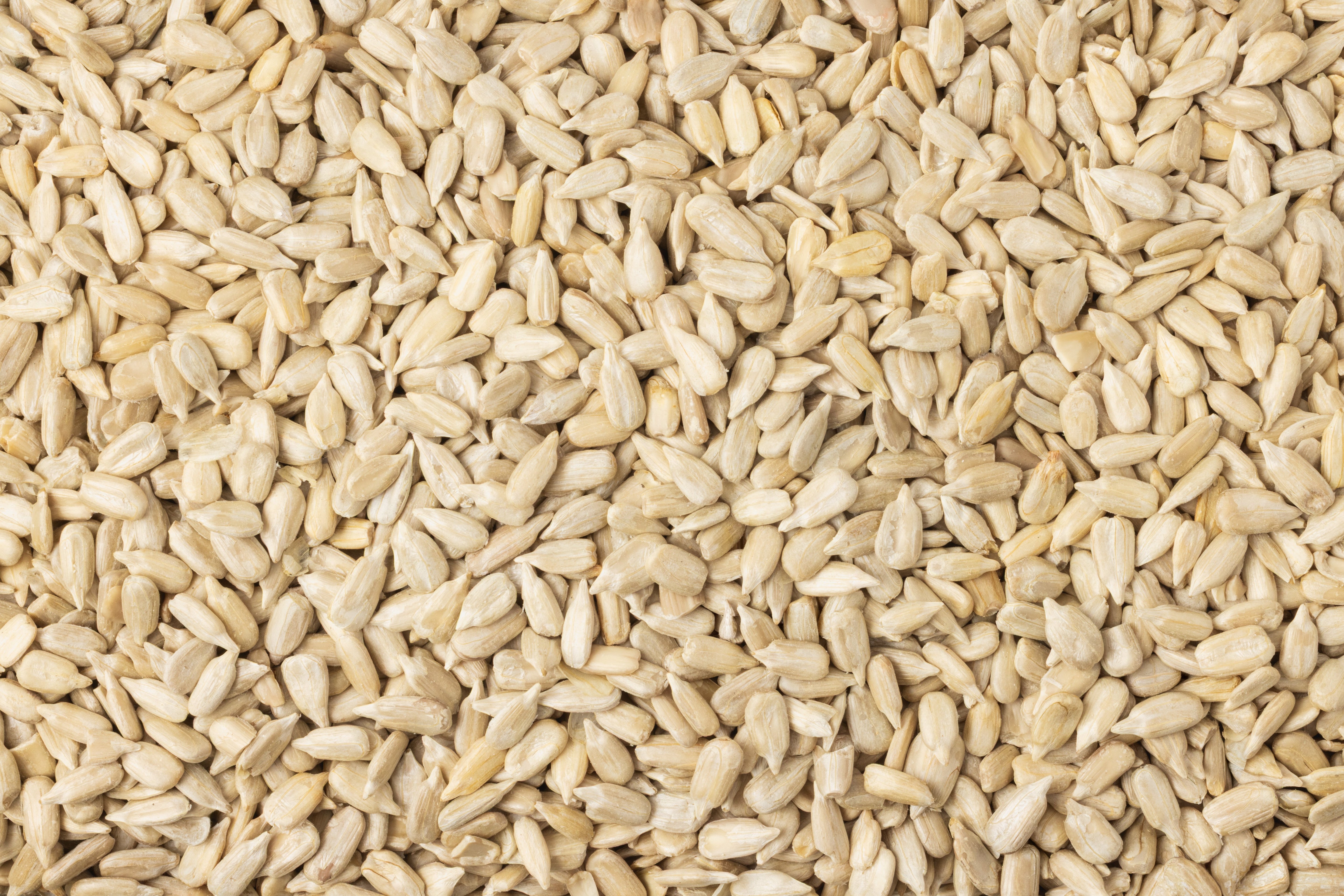 Raw Sunflower Seeds (No Shell)