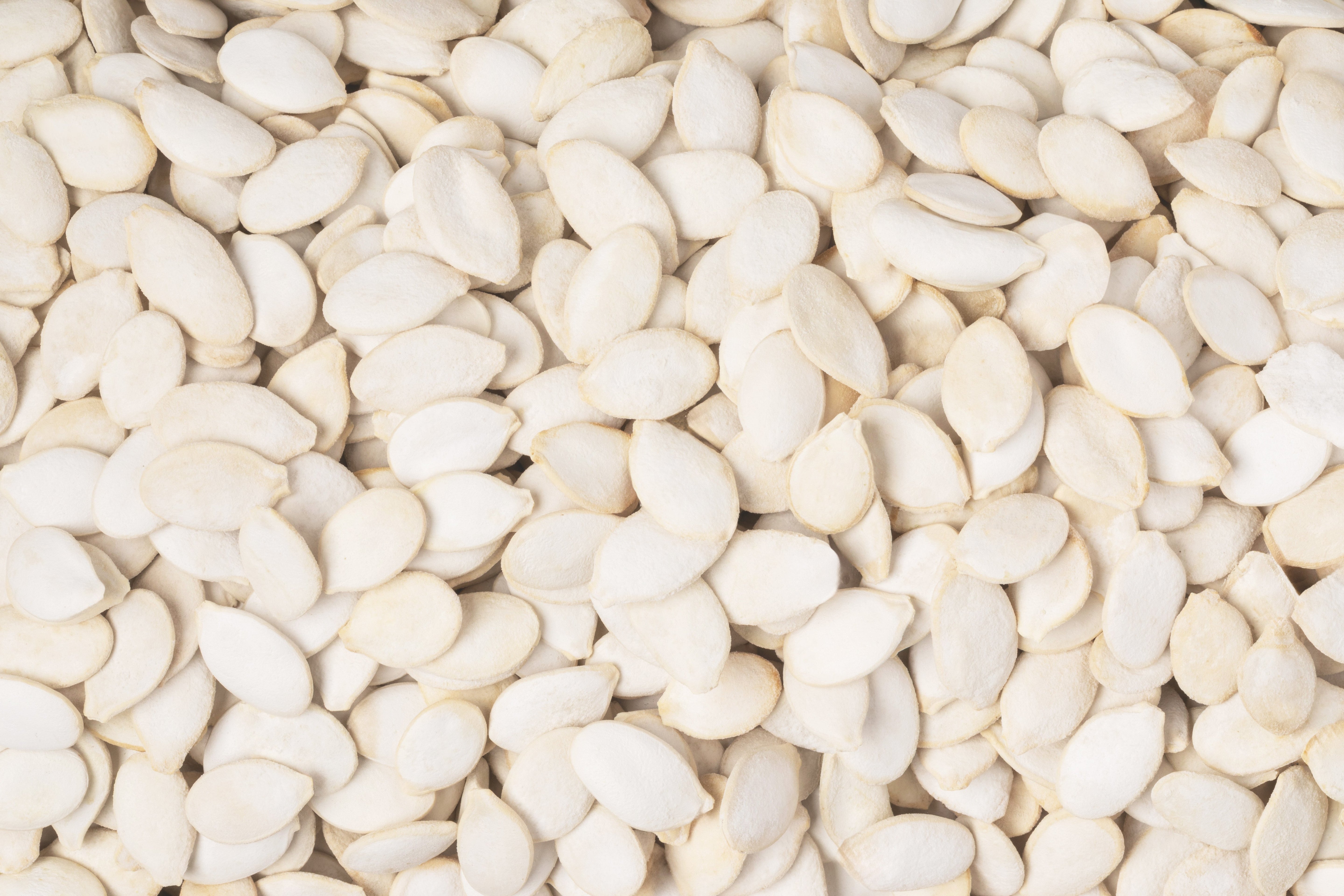 Roasted Pumpkin Seeds (Homestyle, Salted, In Shell)