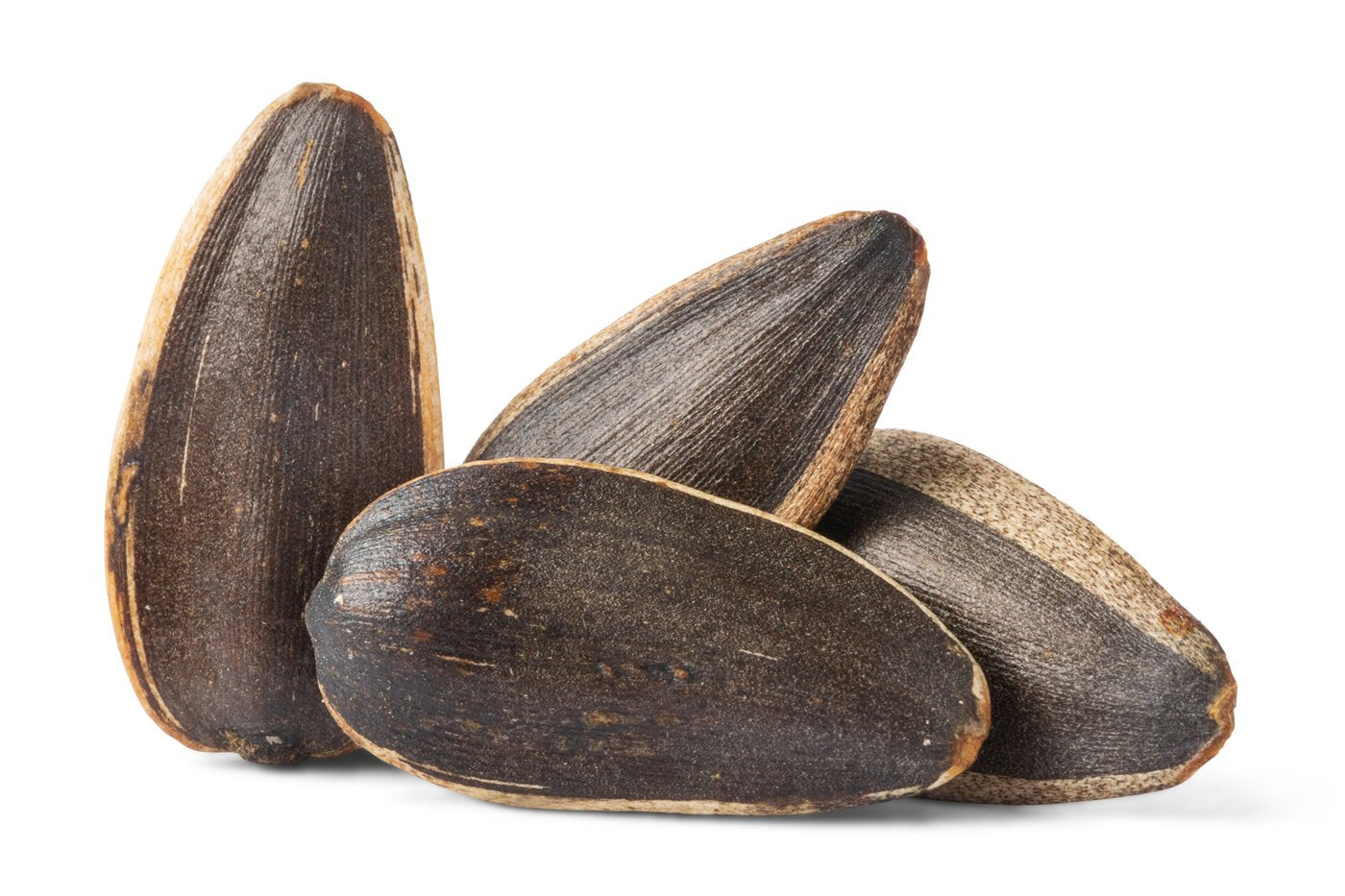 Jumbo Roasted Sunflower Seeds (Salted, In Shell) - Single Serve