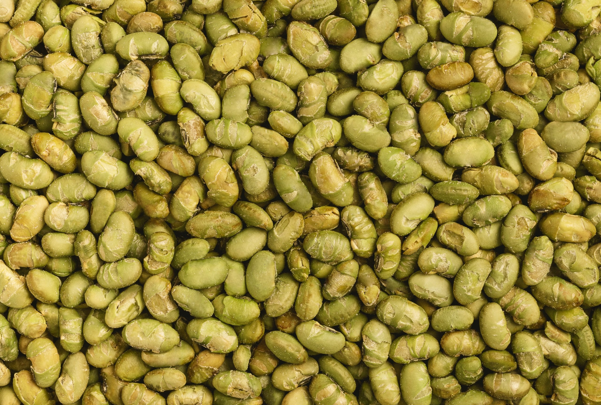 Dry Roasted Edamame (Salted)