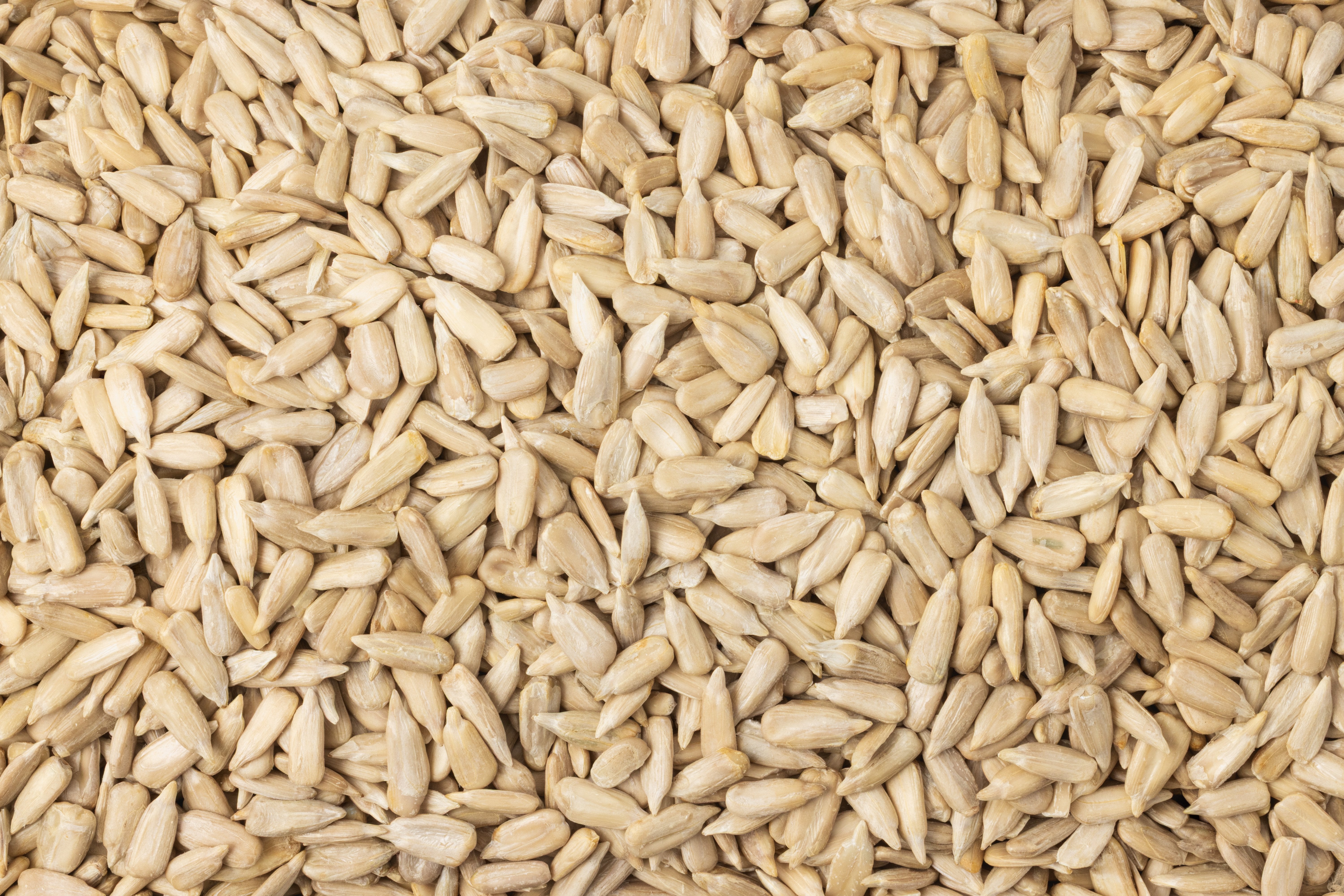 Organic Sunflower Seeds (Raw, No Shell) | Fresh & High-Quality