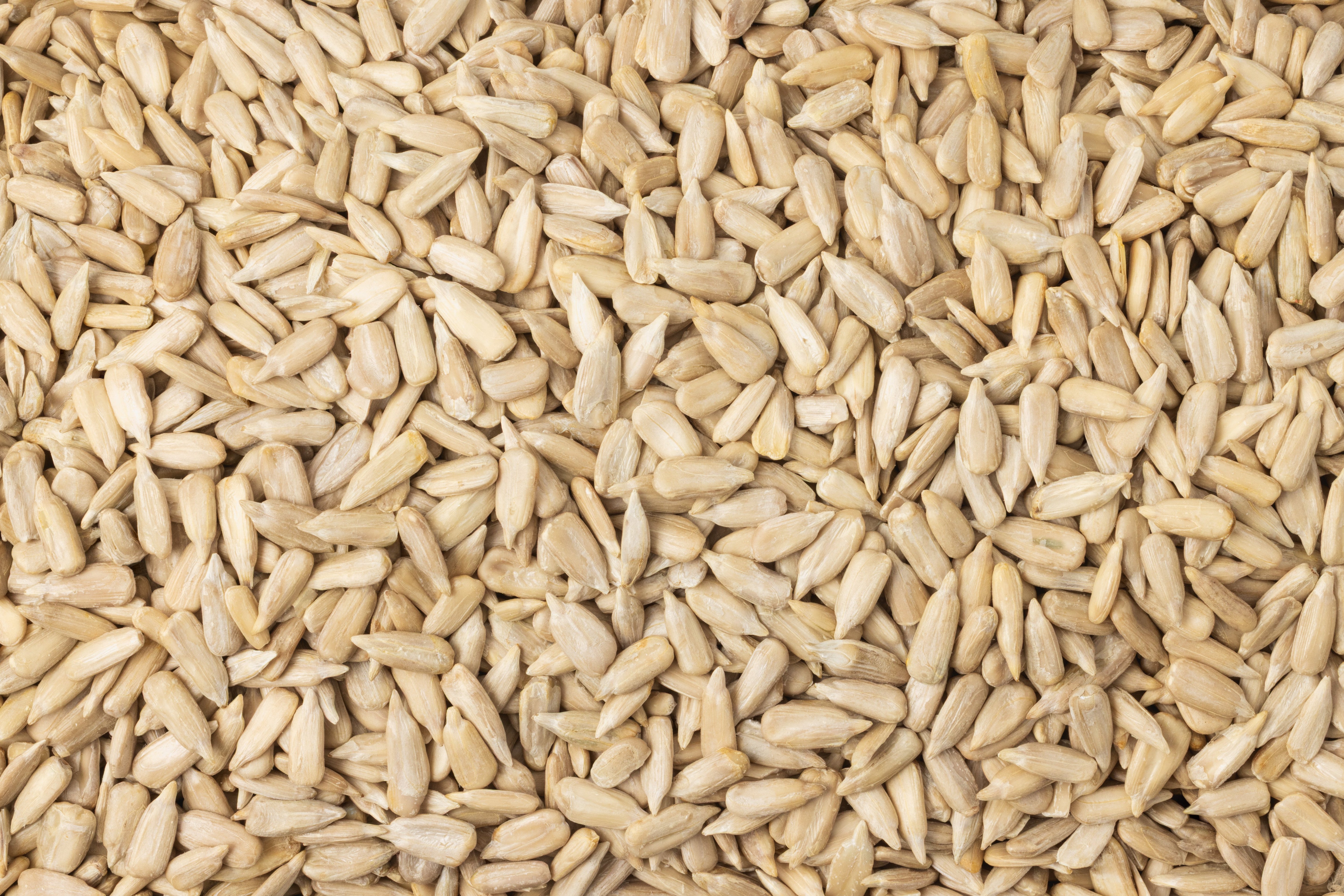 Organic Sunflower Seeds (Raw, No Shell)