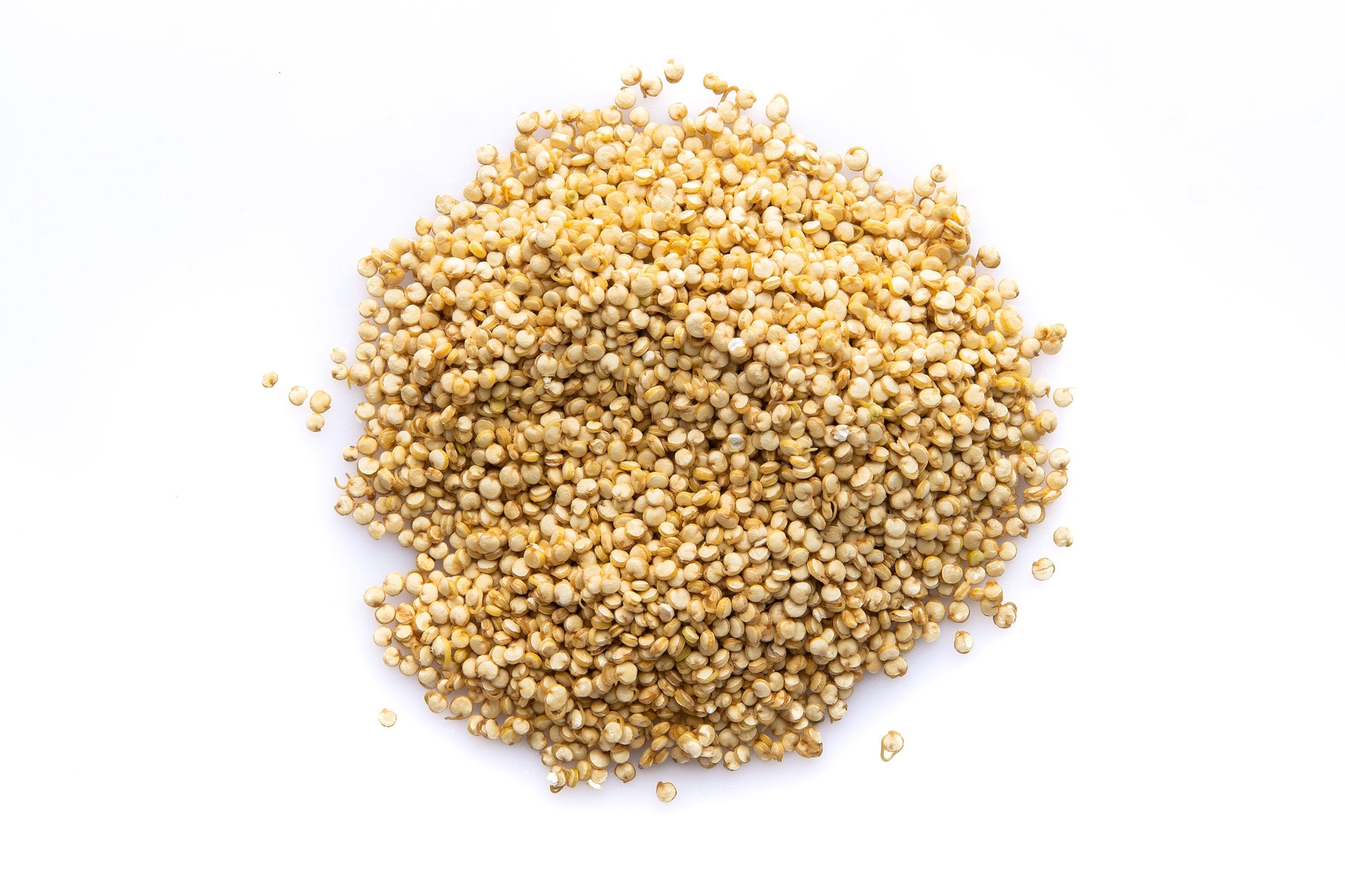 Organic Sprouted Quinoa