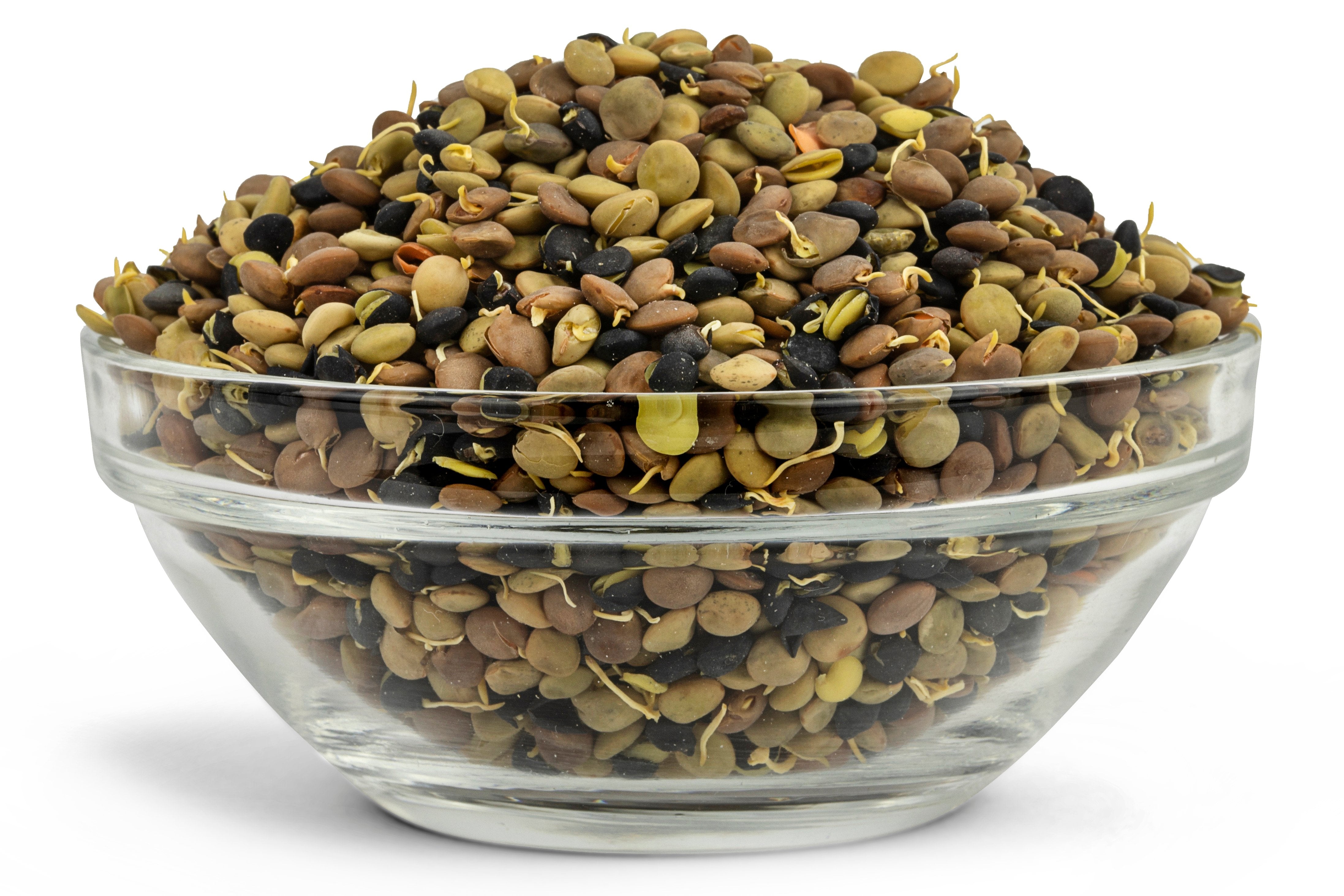 Organic Sprouted Lentil Blend