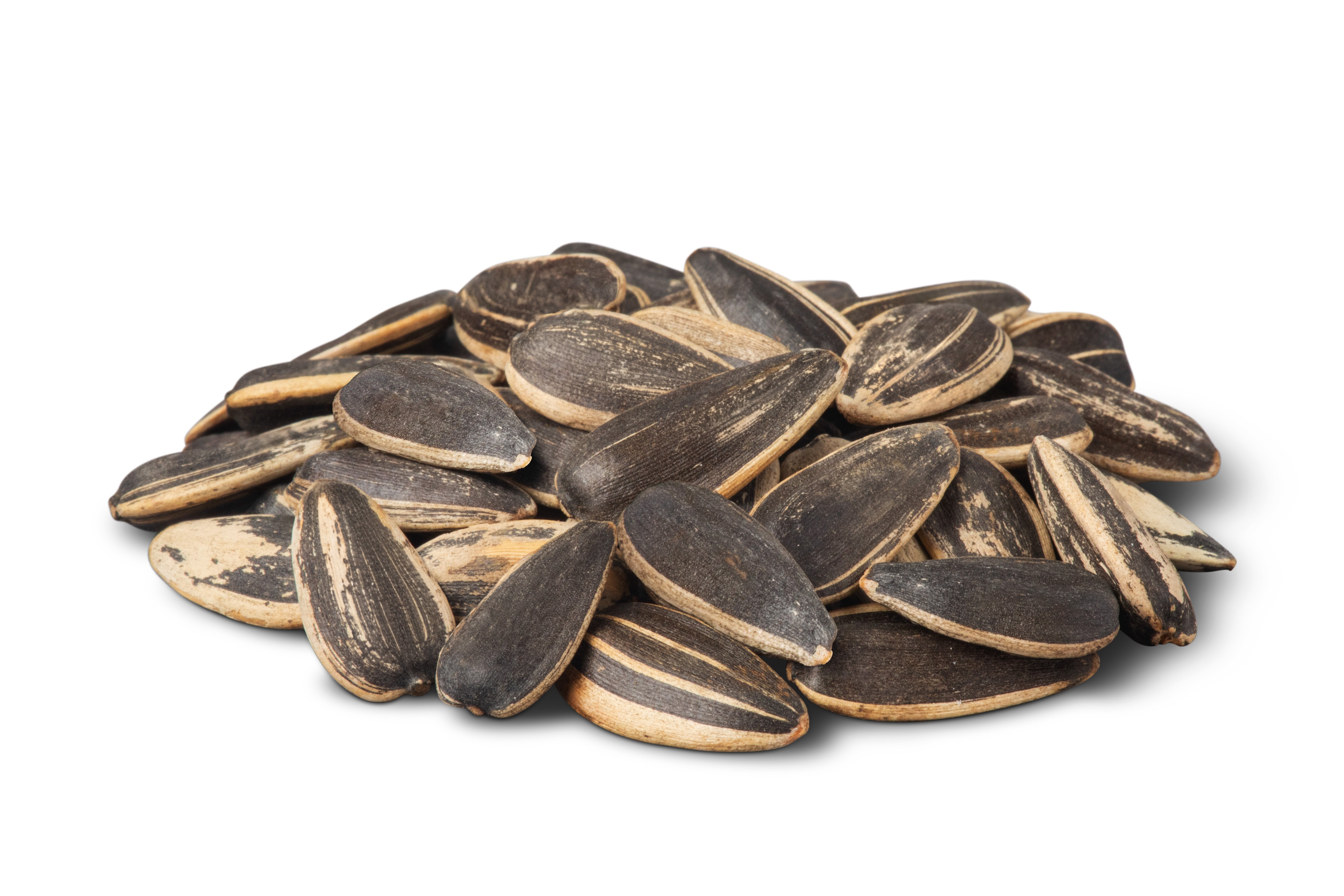 Lightly Salted Jumbo Roasted Sunflower Seeds (In Shell, 50% Less Sodium ...