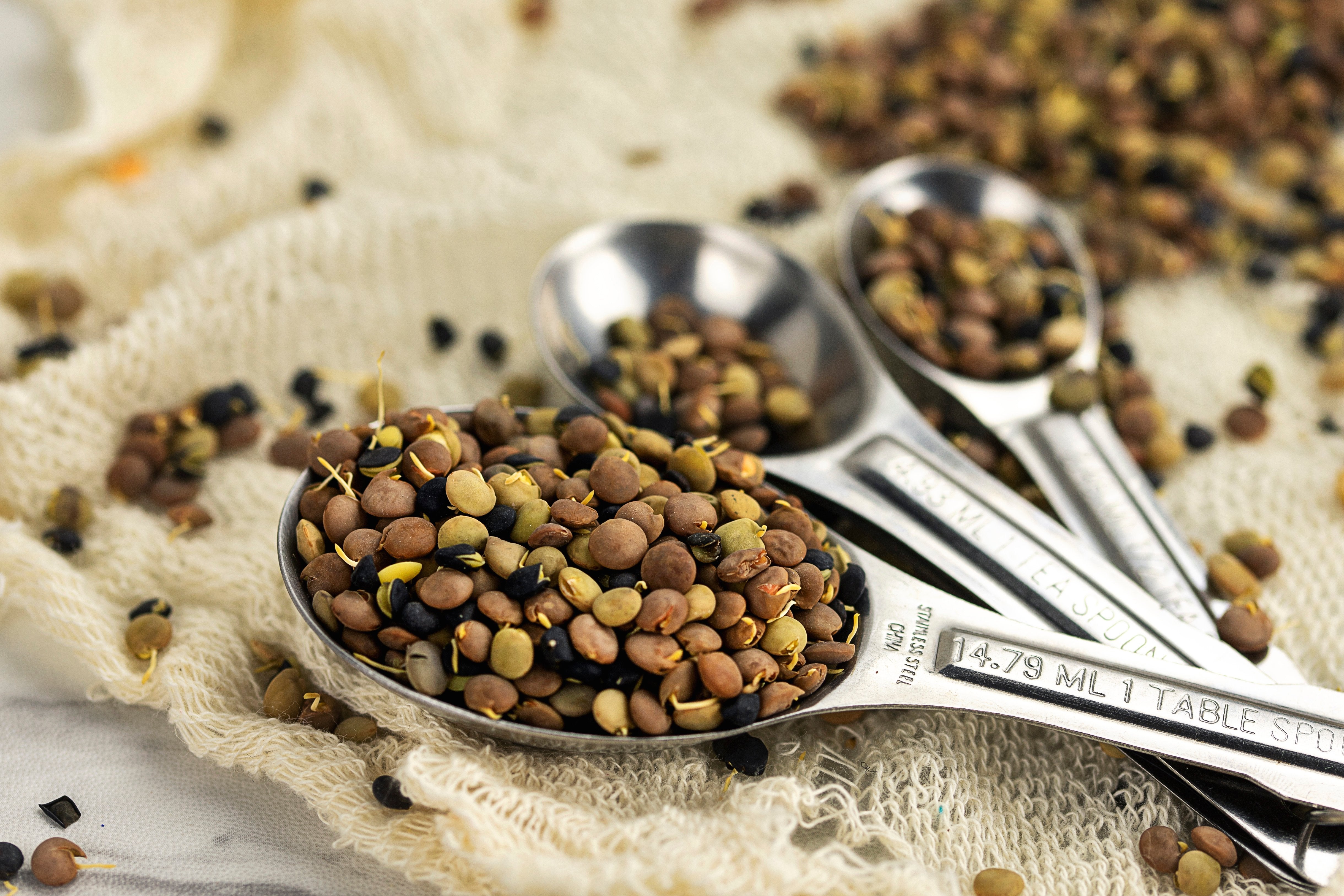 Organic Sprouted Lentil Blend