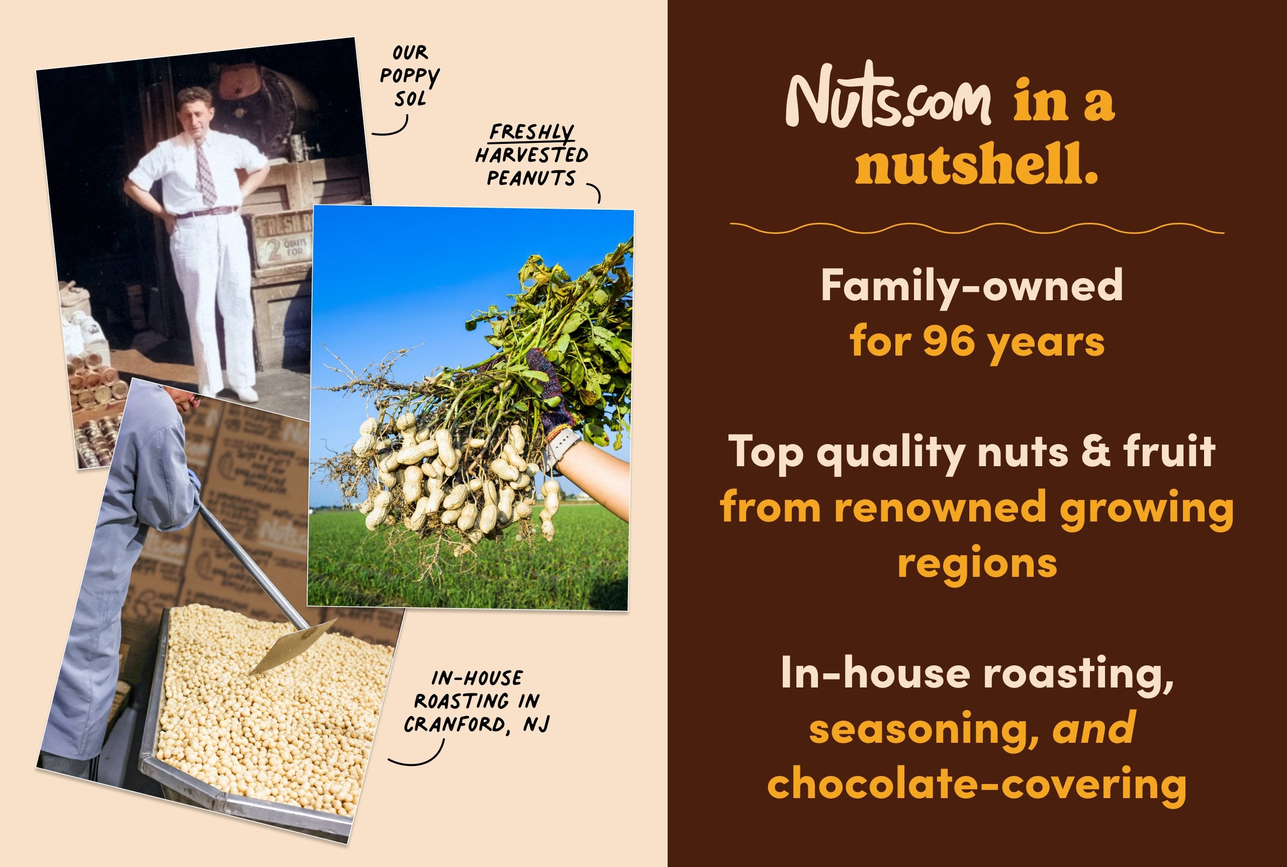 Trial Offer: Nut Lover's Box