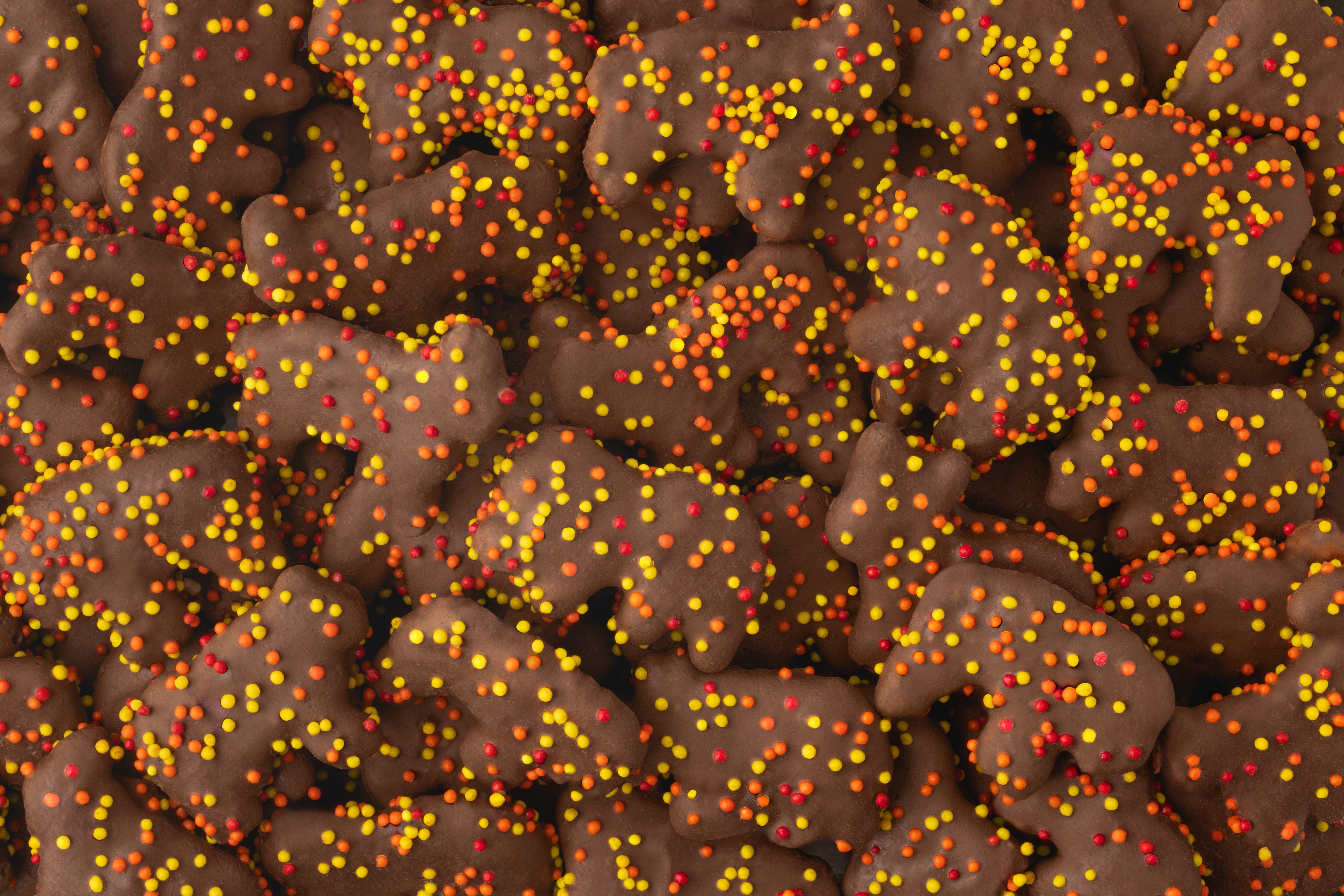 Fall Chocolatey Coated Animal Crackers