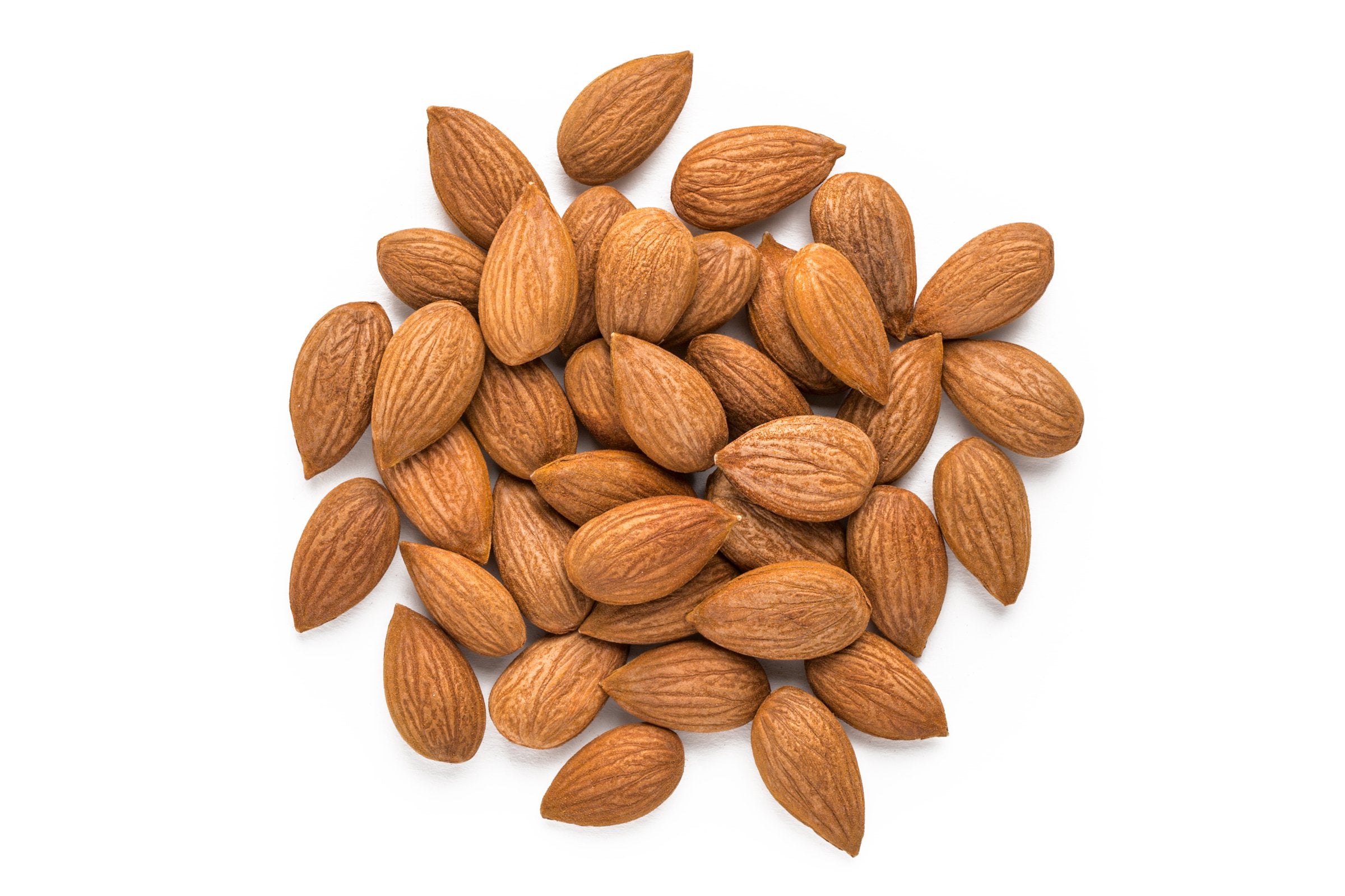 Organic Wild Apricot Kernels (Sweet)