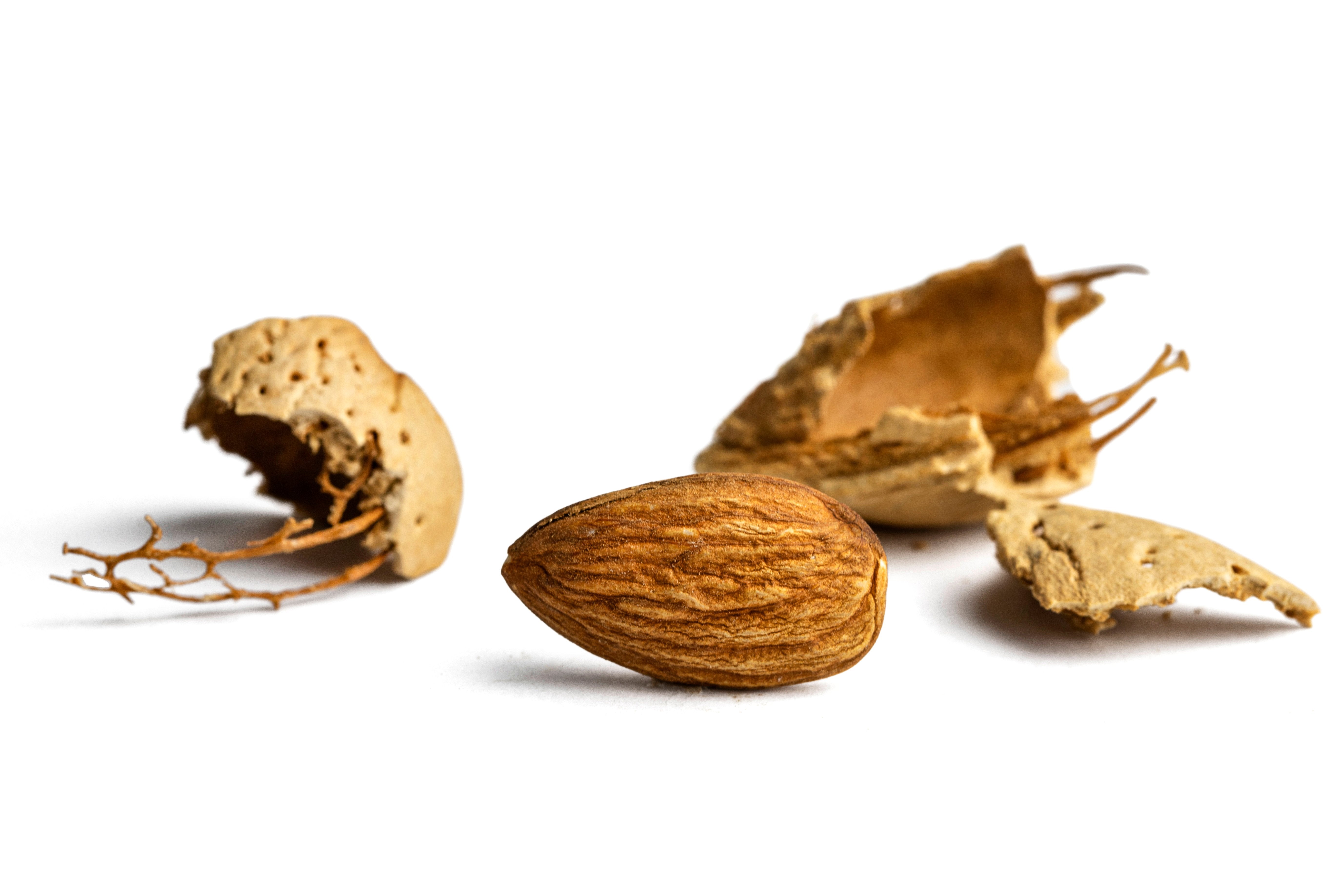 Raw Almonds (In Shell)
