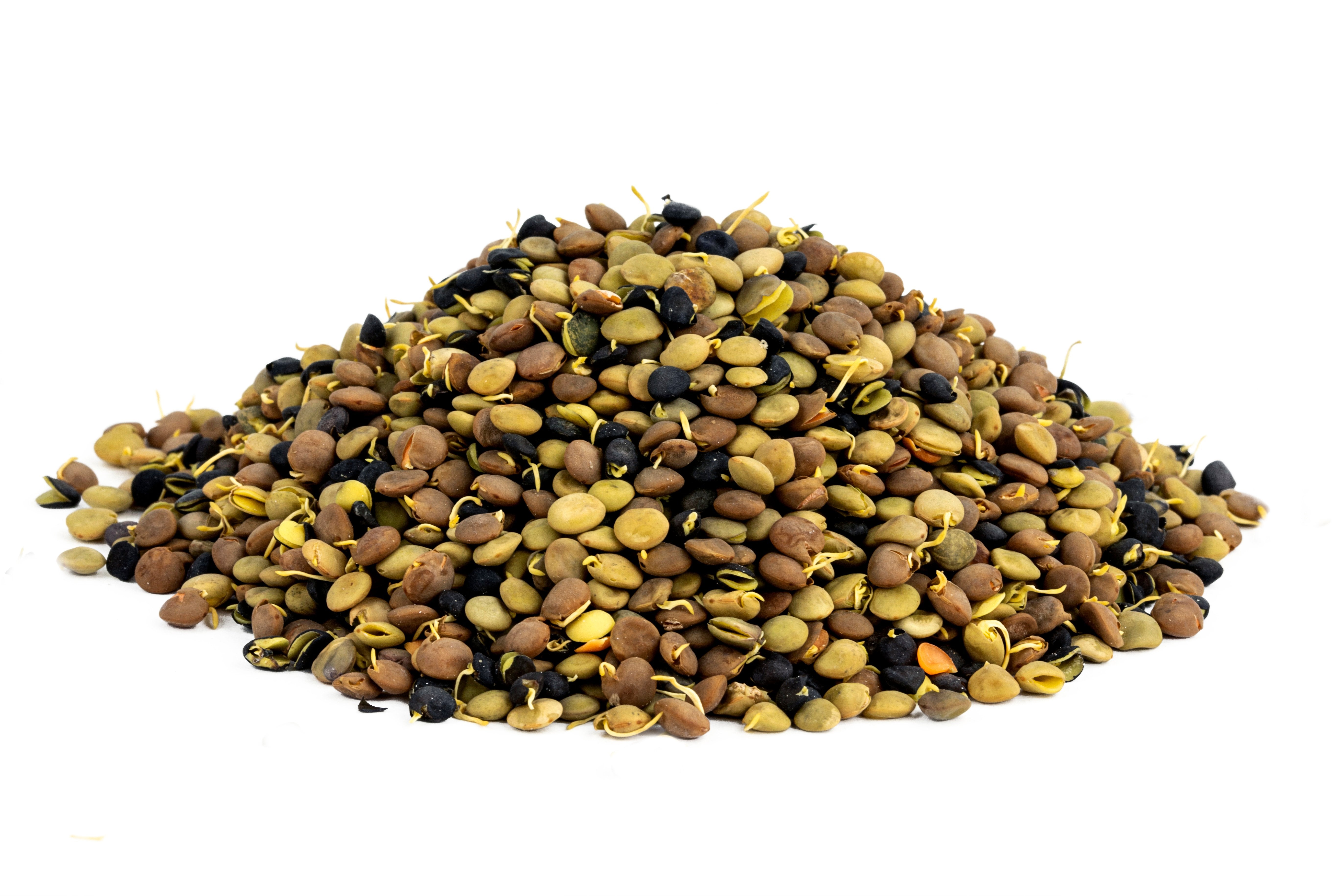 Organic Sprouted Lentil Blend