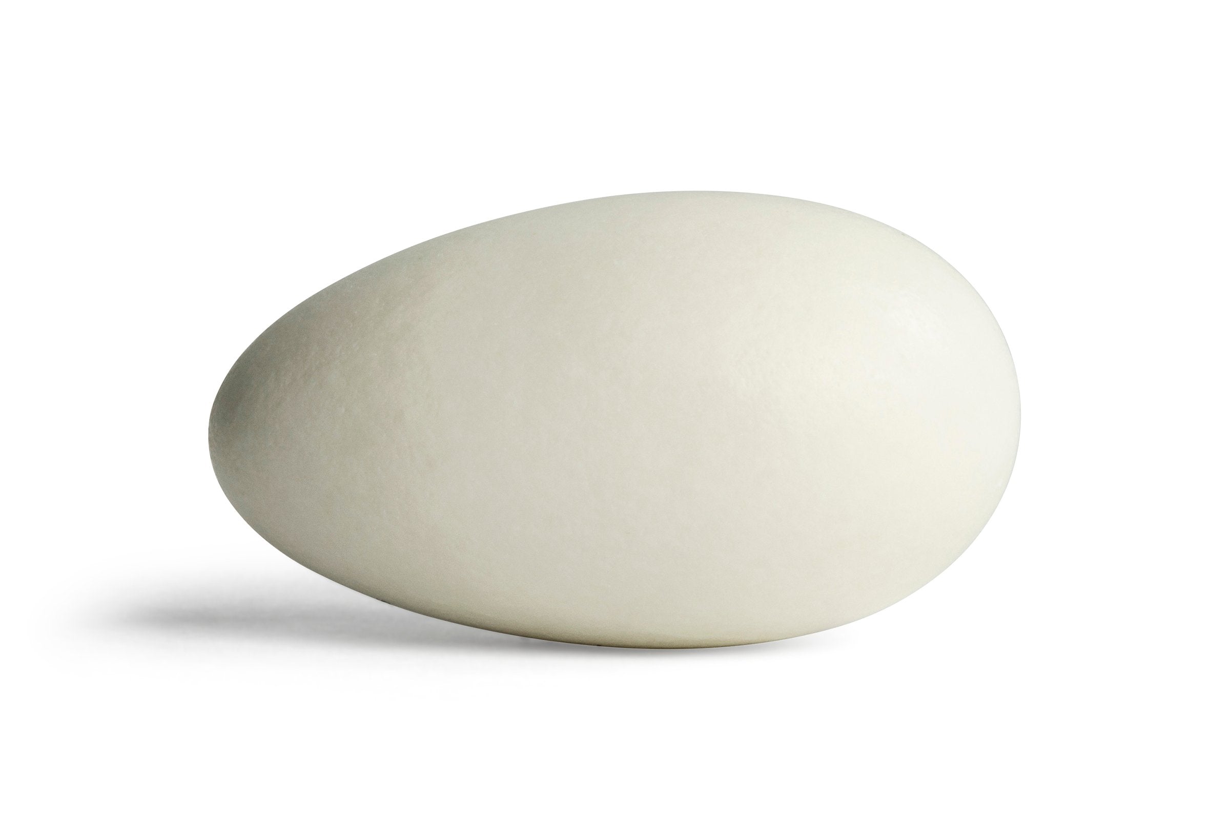 Jordan Almonds (White)