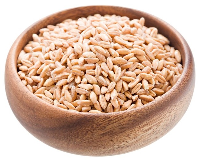 Organic Pearled Farro -1 lb bag