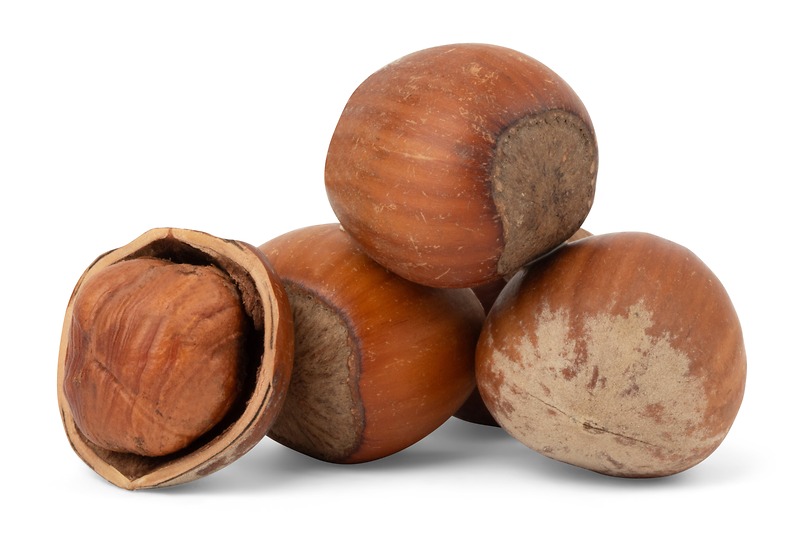 Hazelnuts / Filberts (In Shell) -1 lb bag Value Pack