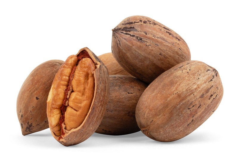 Hard Shell Pecans -1 lb bag Value Pack
