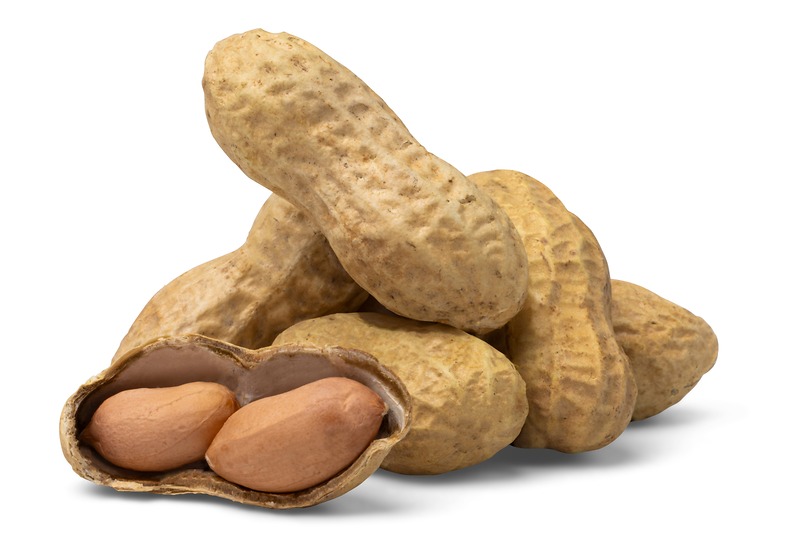 Jumbo Raw Peanuts (In Shell) -16 oz bag Value Pack
