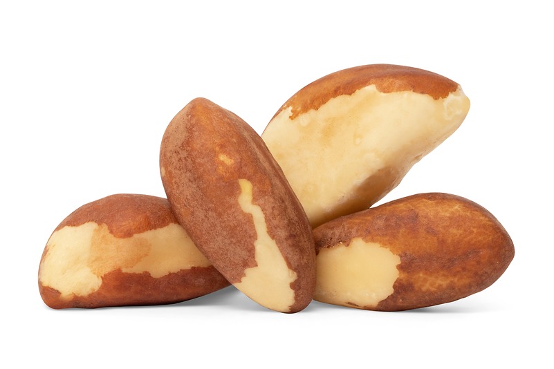Raw Brazil Nuts (No Shell) -8 oz bag Snack Pack
