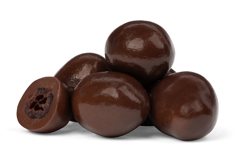 Dark Chocolate Covered Cranberries -1 lb bag