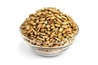 Roasted Sunflower Seeds (Salted, No Shell)