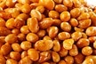 Roasted Soybeans (Unsalted, Whole)