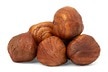 Raw Hazelnuts / Filberts (No Shell)